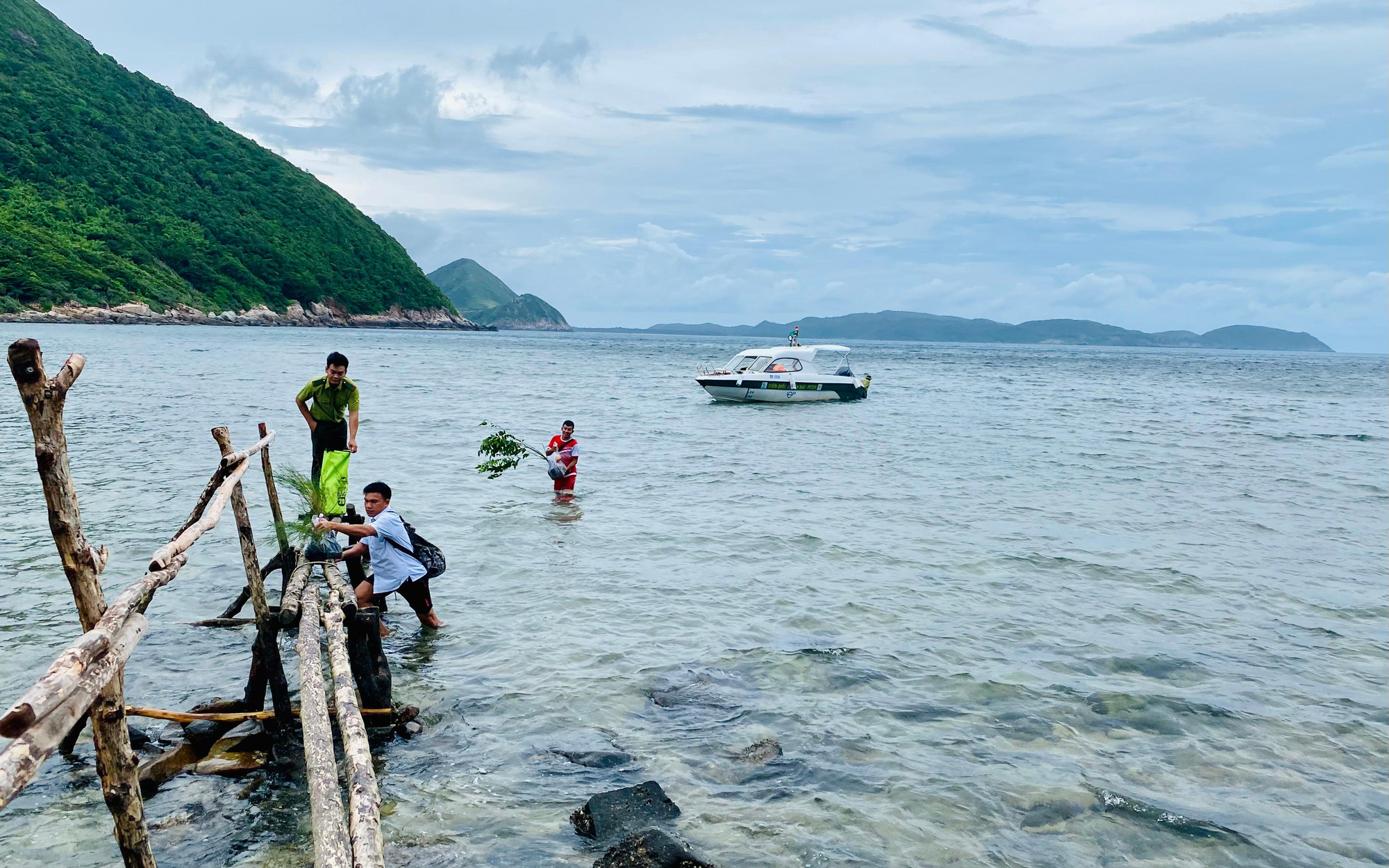 Một ngày đỡ đẻ cho rùa biển ảnh 2