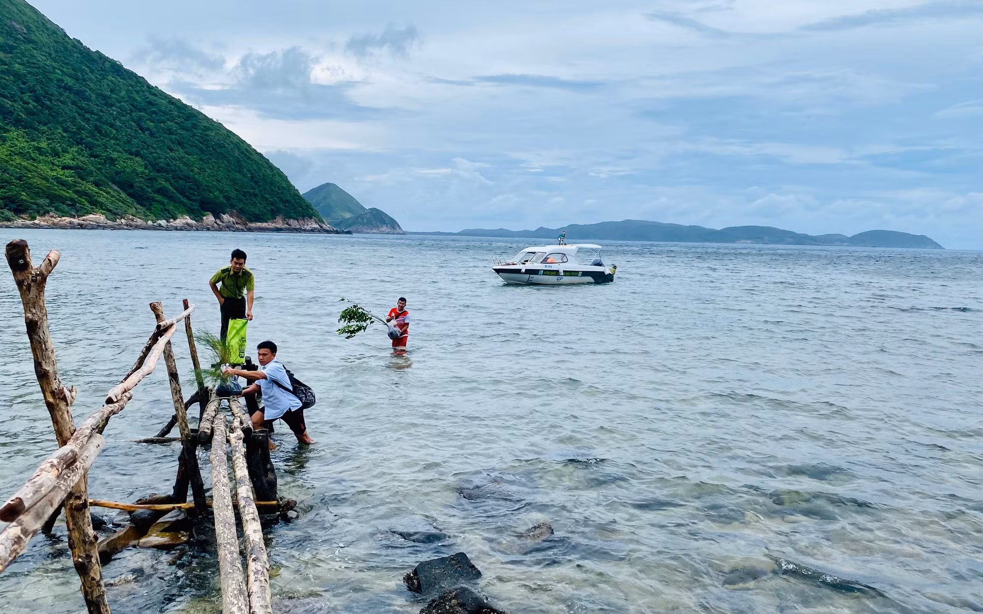 Một ngày đỡ đẻ cho rùa biển ảnh 2