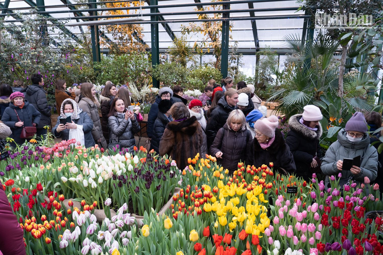 Triển lãm hoa mang tên "Diễn tập mùa xuân". (Ảnh: THANH THỂ) 