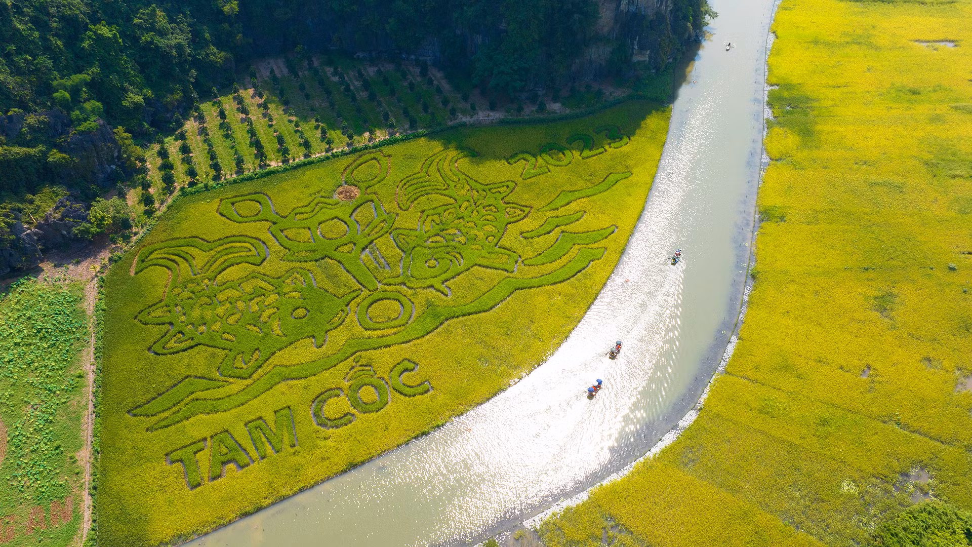 Bức tranh "Lý ngư vọng nguyệt" trên cánh đồng bên dòng sông Ngô Đồng. (Ảnh: Sở Du lịch Ninh Bình)