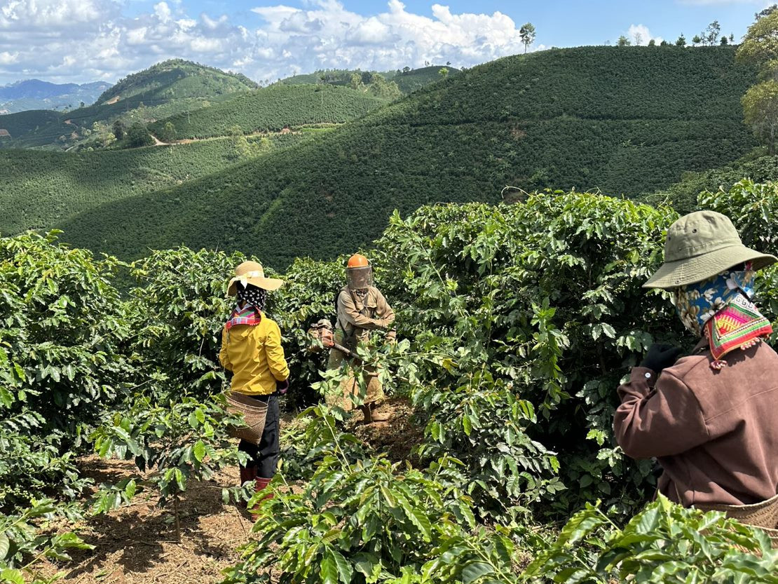 Sau các buổi tập huấn, các chị em đã có ý thức dùng đồ bảo vệ trong quá trình canh tác cà phê.