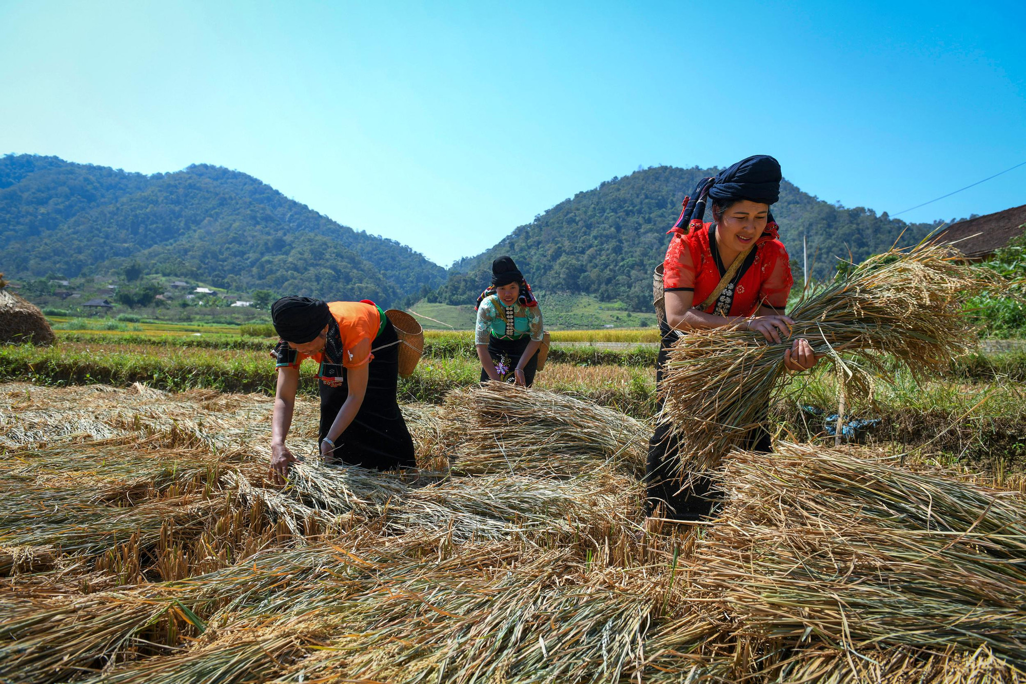 Một buổi làm ruộng của người Xinh Mun (Ảnh: THÀNH ĐẠT) Một buổi làm ruộng của người Xinh Mun (Ảnh: THÀNH ĐẠT)