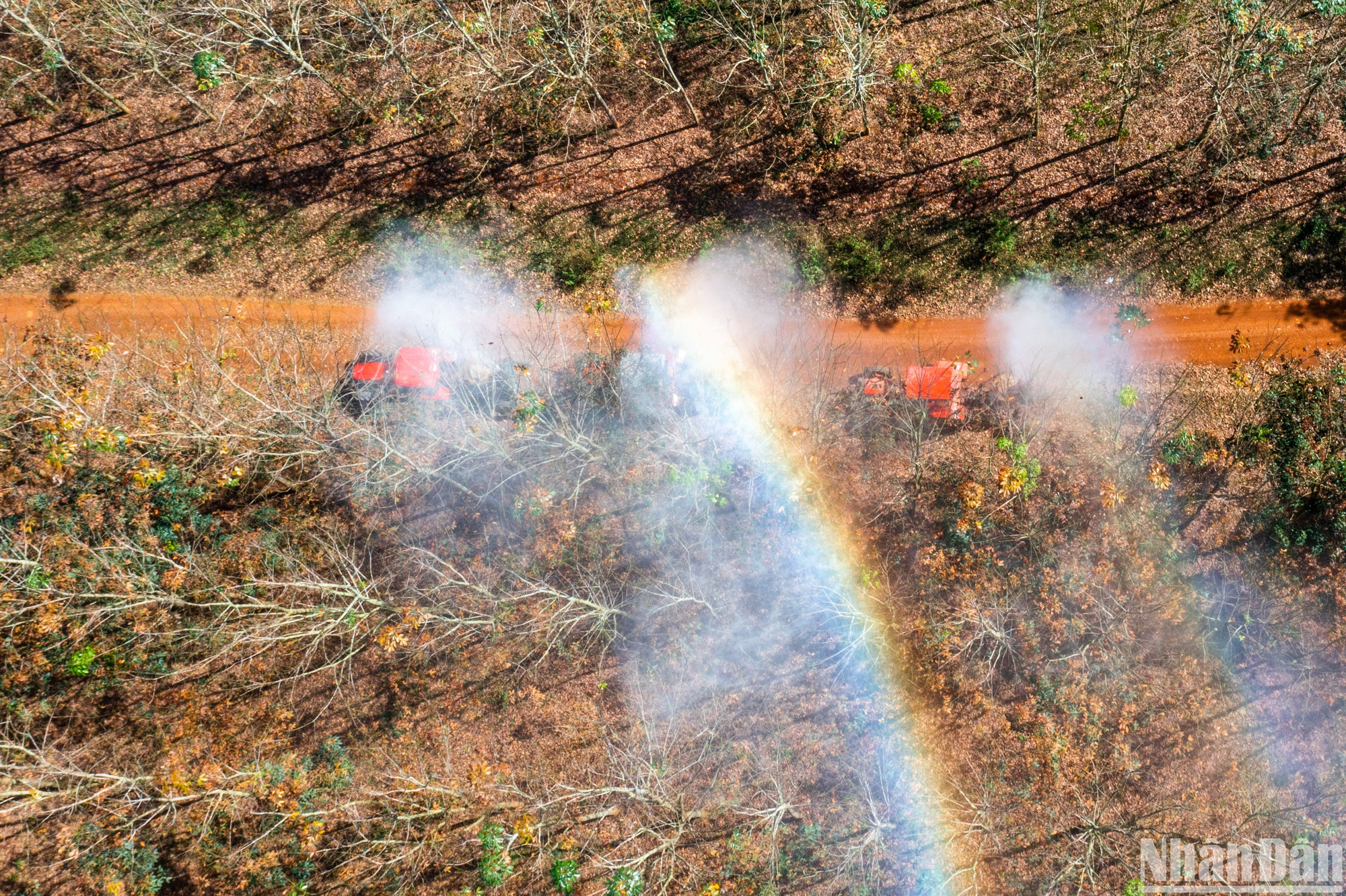 Tổng Công ty Cao-su Đồng Nai đang quản lý hơn 35 nghìn ha đất, nằm ở 13 nông trường trực thuộc.