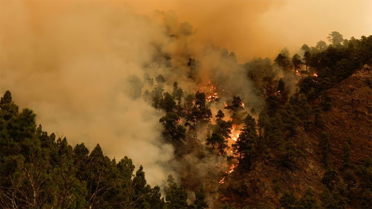 Cháy rừng trên quần đảo Canary, Tây Ban Nha, ngày 16/8/2023. (Ảnh: Reuters)