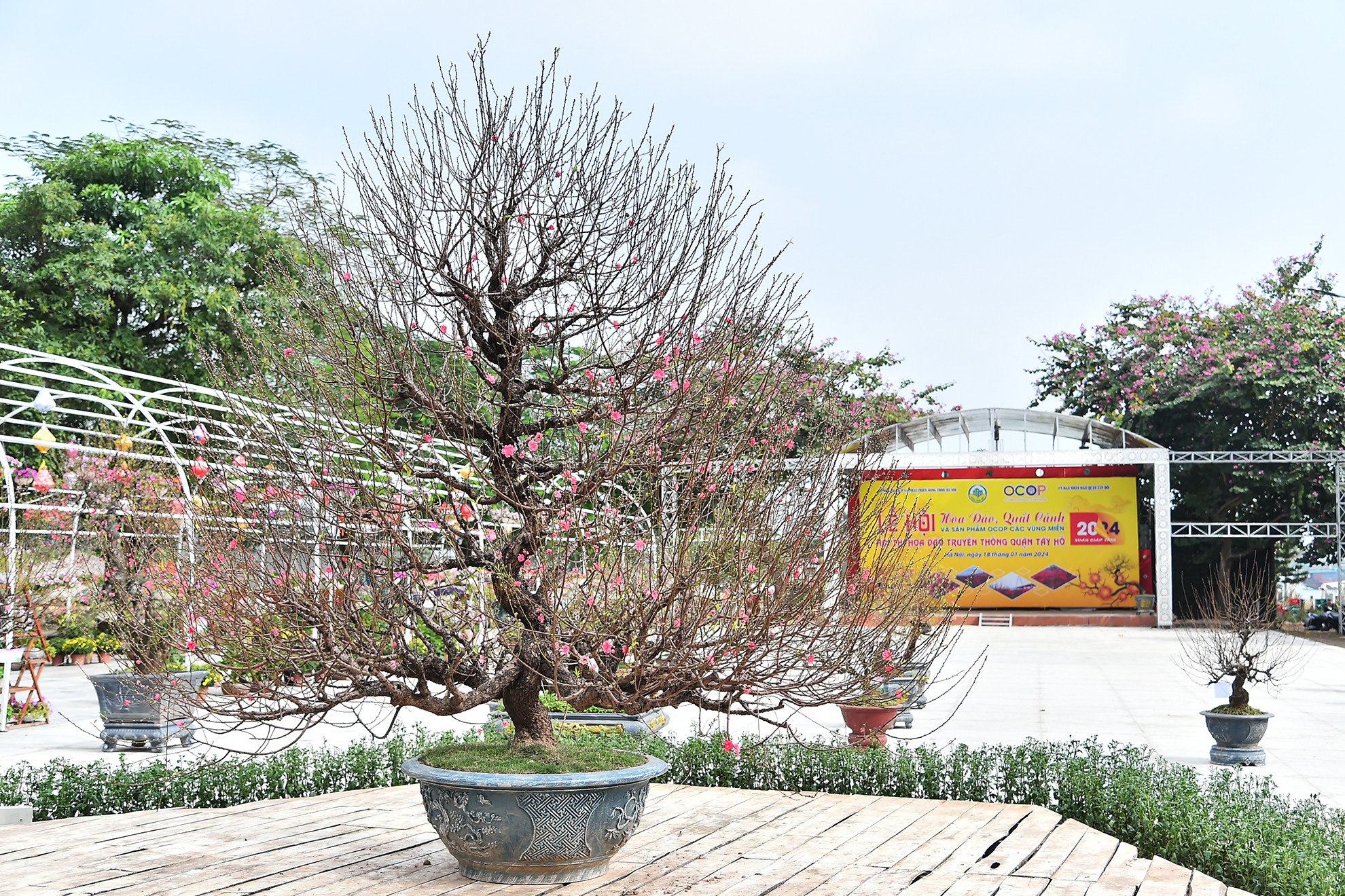 Nằm trong chuỗi hoạt động của Lễ hội Hoa đào, Quất cảnh và sản phẩm OCOP vùng miền xuân Giáp Thìn 2024, Sở Nông nghiệp và Phát triển nông thôn thành phố Hà Nội phối hợp cùng Ủy ban nhân dân quận Tây Hồ tổ chức Hội thi hoa Đào truyền thống quận Tây Hồ. Nằm trong chuỗi hoạt động của Lễ hội Hoa đào, Quất cảnh và sản phẩm OCOP vùng miền xuân Giáp Thìn 2024, Sở Nông nghiệp và Phát triển nông thôn thành phố Hà Nội phối hợp cùng Ủy ban nhân dân quận Tây Hồ tổ chức Hội thi hoa Đào truyền thống quận Tây Hồ.