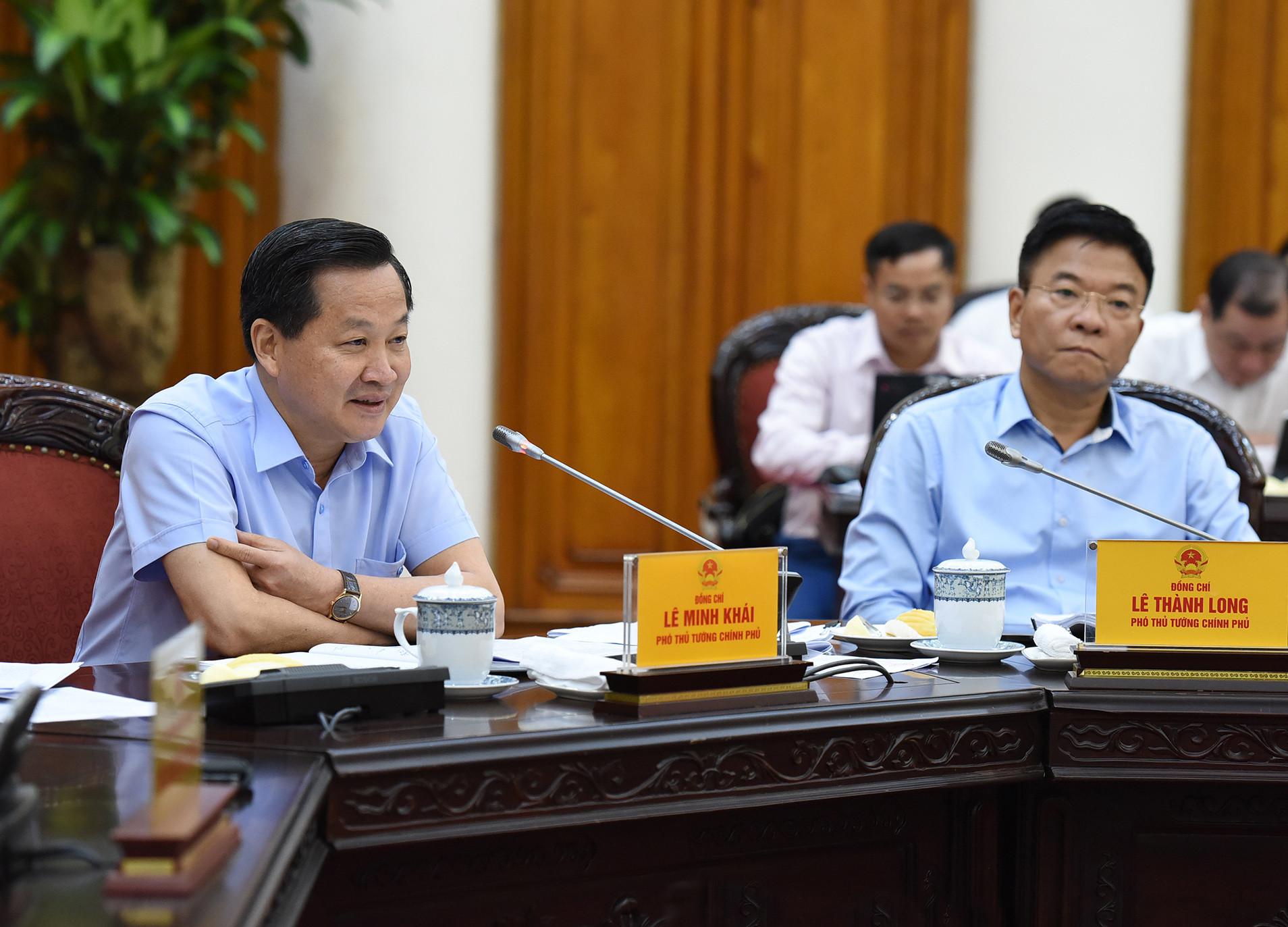 Phó Thủ tướng Lê Minh Khái phát biểu.