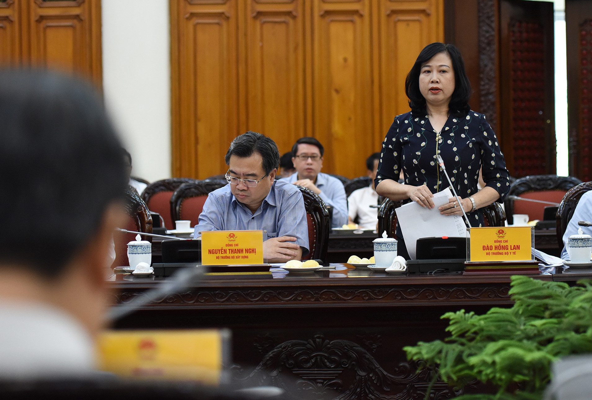 Bộ trưởng Bộ Y tế Đào Hồng Lan phát biểu tại cuộc họp.