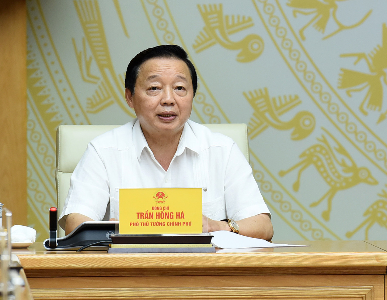 Phó Thủ tướng Trần Hồng Hà phát biểu. Phó Thủ tướng Trần Hồng Hà phát biểu.