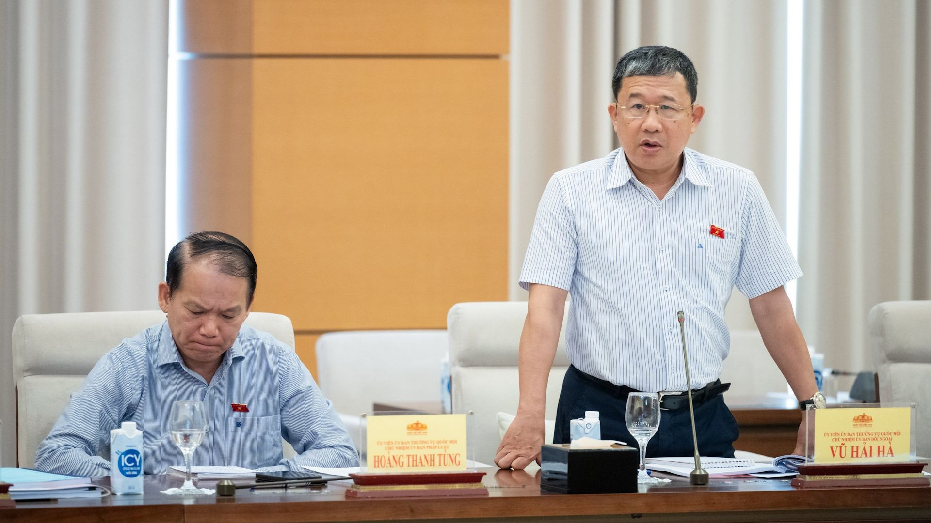 Chủ nhiệm Ủy ban Đối ngoại Vũ Hải Hà phát biểu tại cuộc họp.