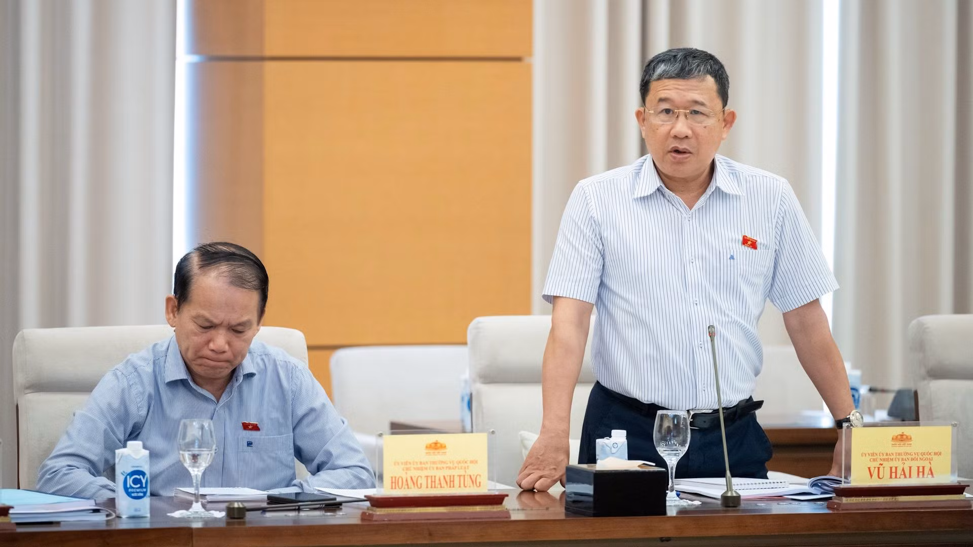 Chủ nhiệm Ủy ban Đối ngoại Vũ Hải Hà phát biểu tại cuộc họp.