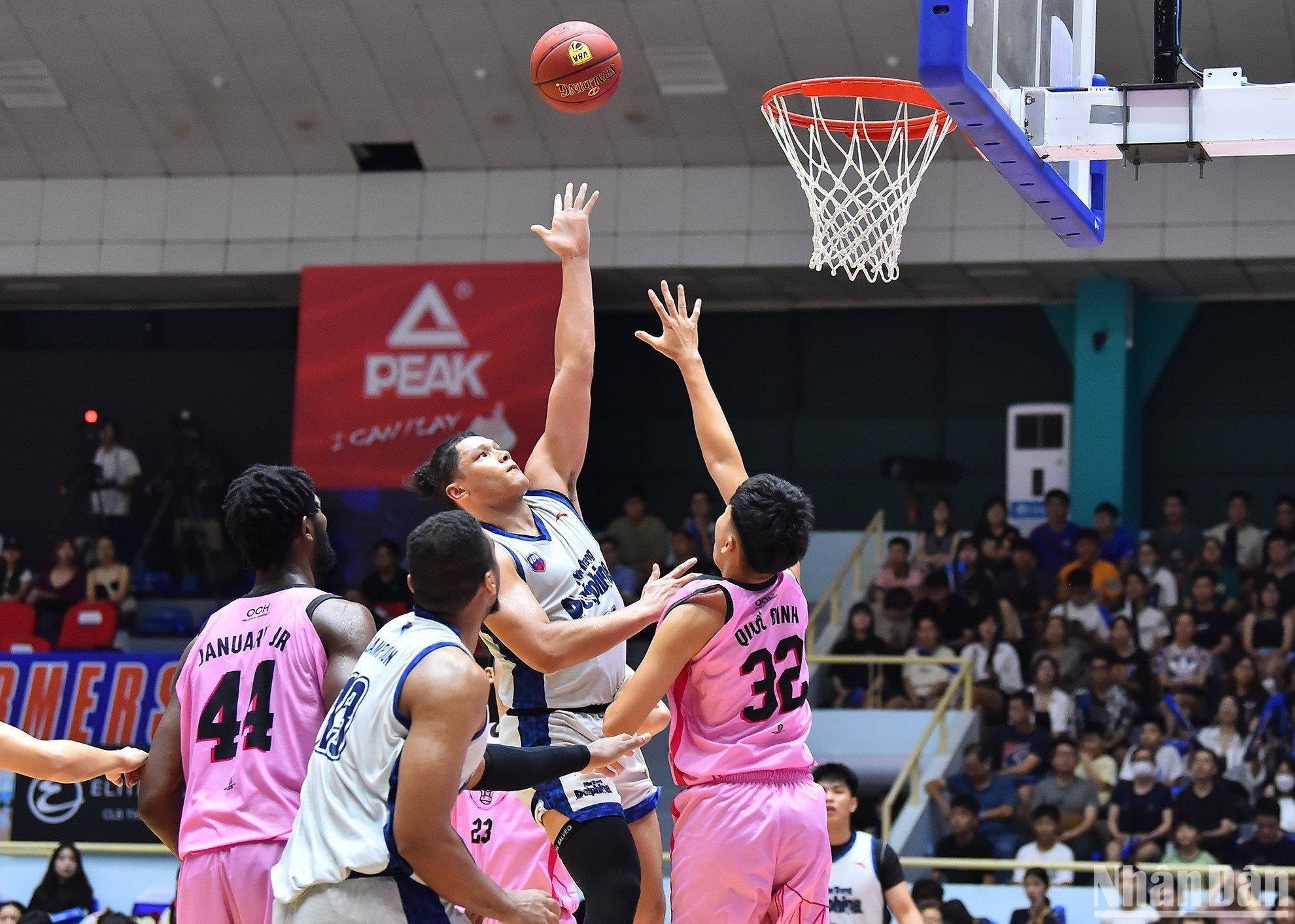 Dominique Tham tả xung hữu đột dưới bảng rổ Hanoi Buffaloes. Dominique Tham tả xung hữu đột dưới bảng rổ Hanoi Buffaloes.