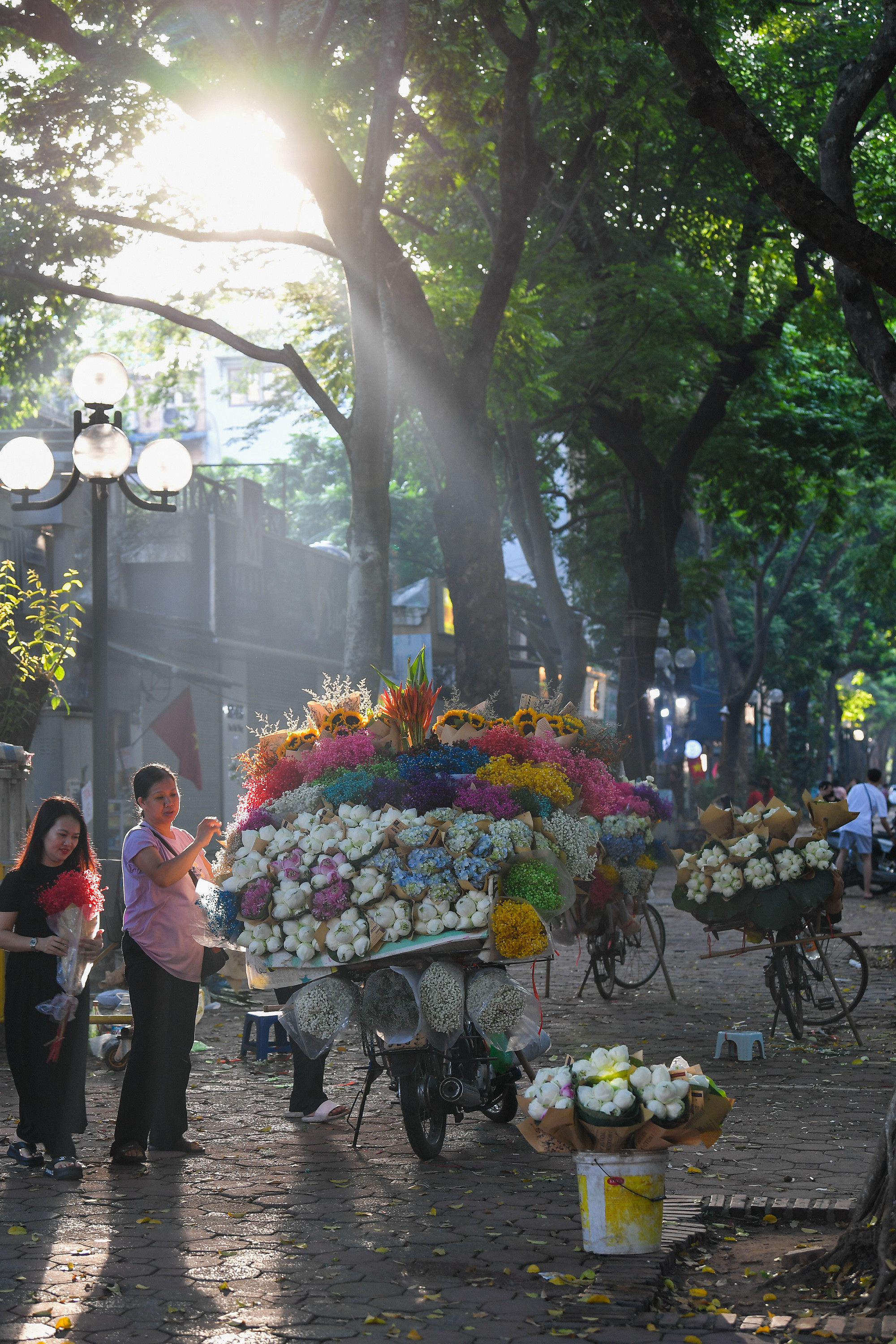 Những chiếc xe hoa trong ánh nắng mùa thu trên con phố Phan Đình Phùng.