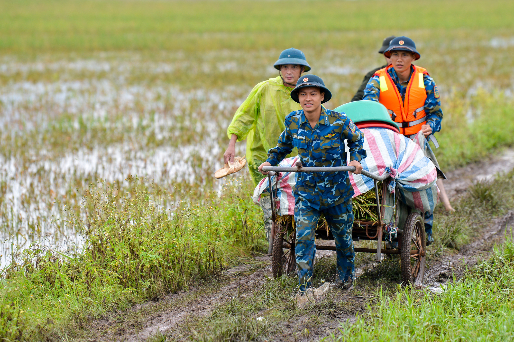 Chiến sĩ Phòng không - Không quân kéo từng xe lúa lên bờ cho bà con. Chiến sĩ Phòng không - Không quân kéo từng xe lúa lên bờ cho bà con.