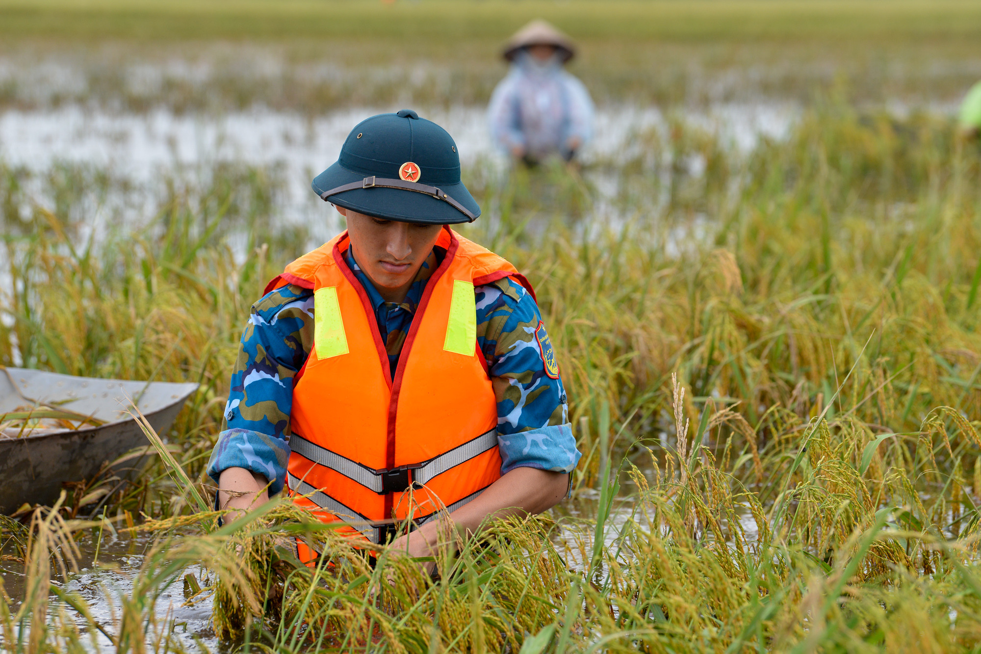 [Ảnh] Chiến sĩ Phòng không-Không quân dầm mình trong nước, gặt lúa giúp dân ảnh 3