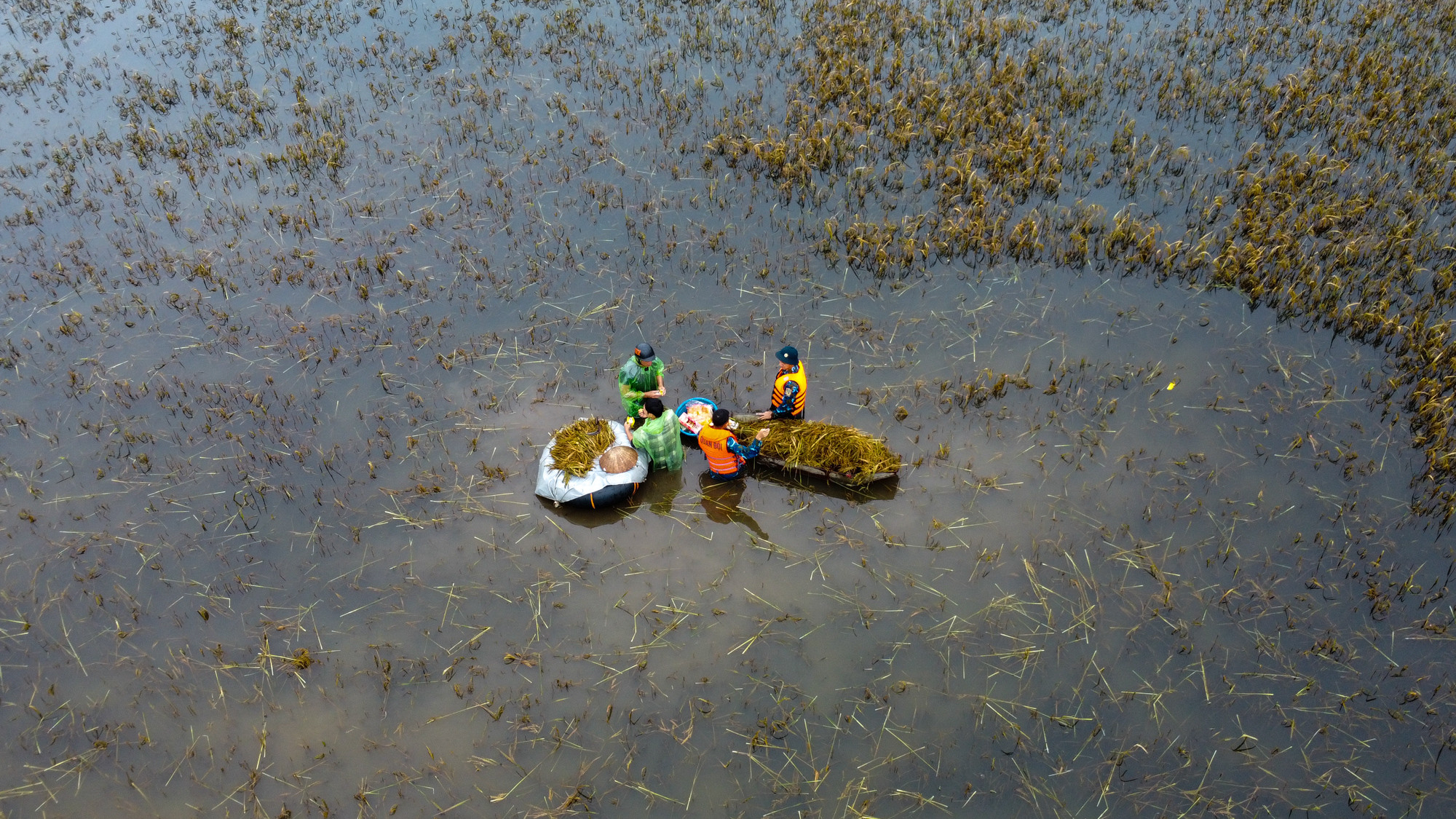 Những phút giải lao ngay giữa cánh đồng mênh mang nước. Những phút giải lao ngay giữa cánh đồng mênh mang nước.