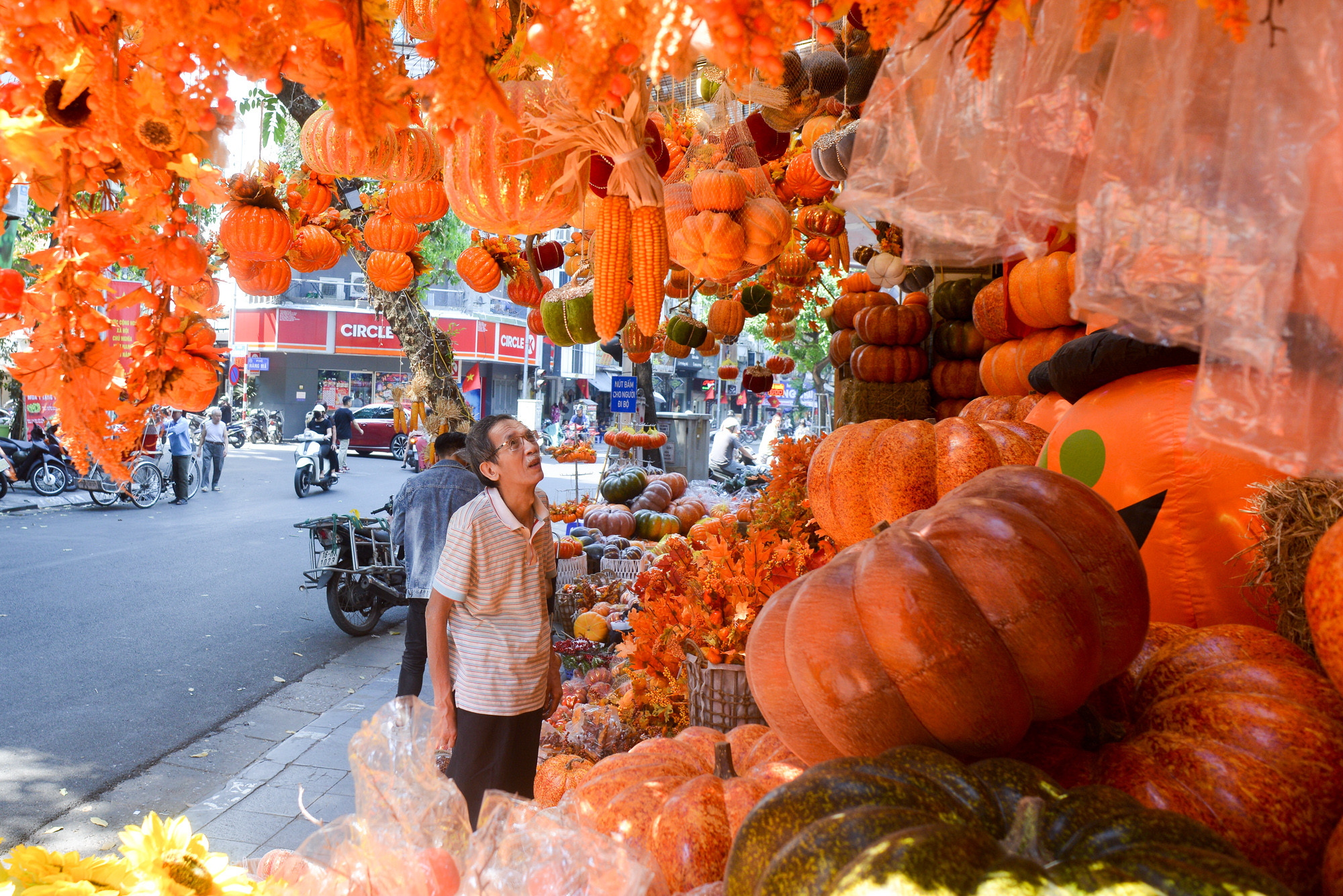 [Ảnh] Phố Hàng Mã khác lạ trước Lễ Halloween ảnh 1