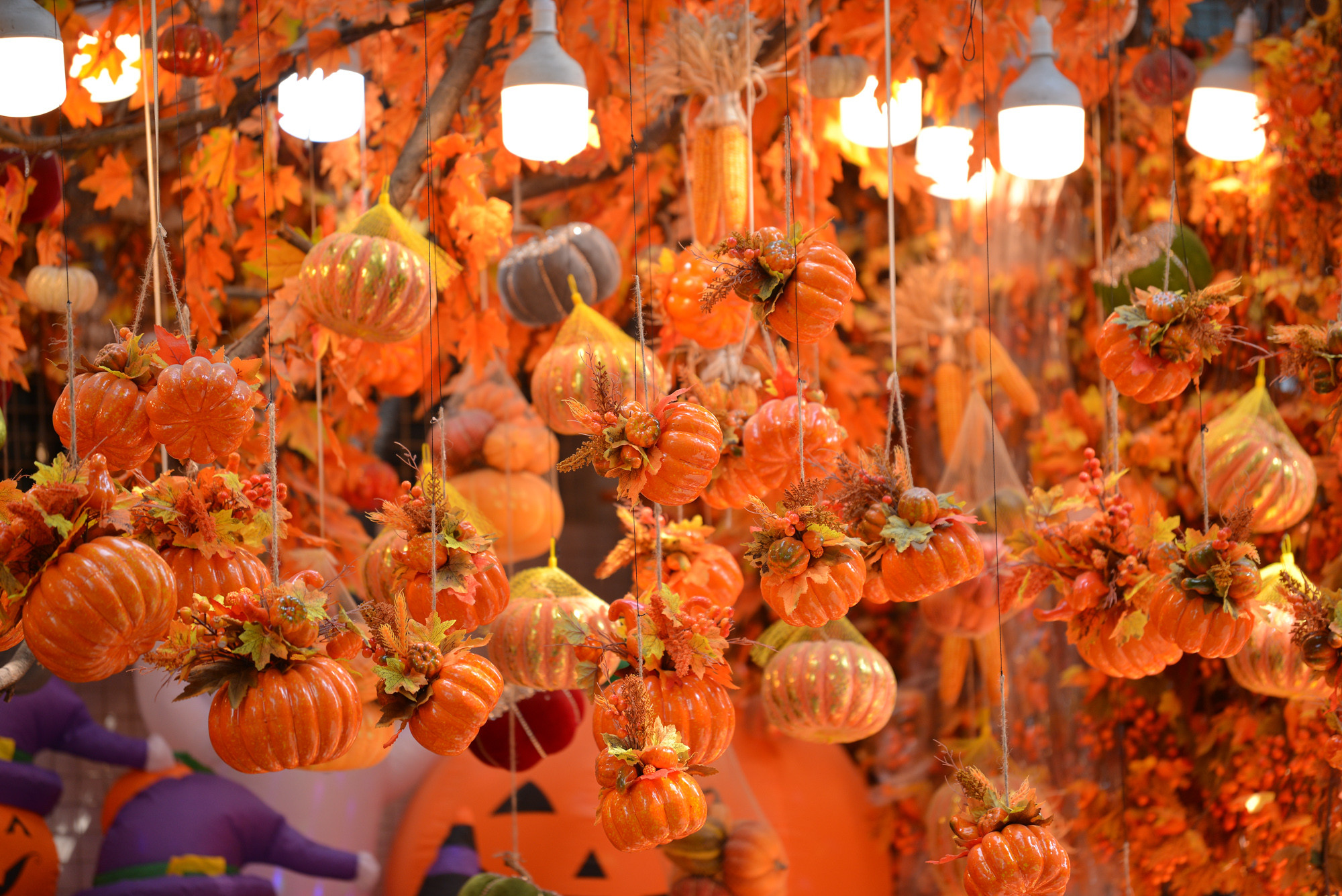 [Ảnh] Phố Hàng Mã khác lạ trước Lễ Halloween ảnh 2