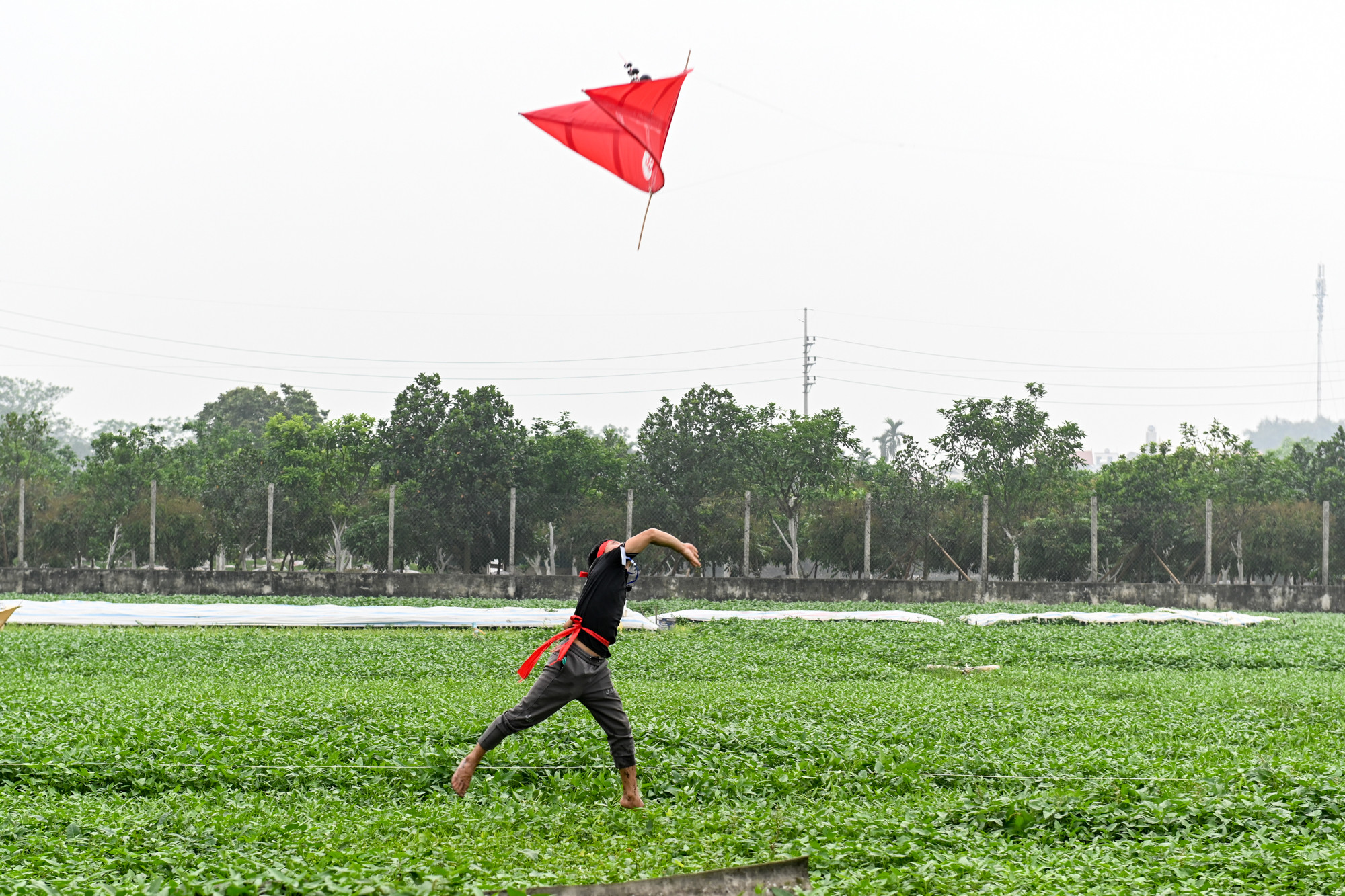 Những con diều dự thi tại lễ hội.