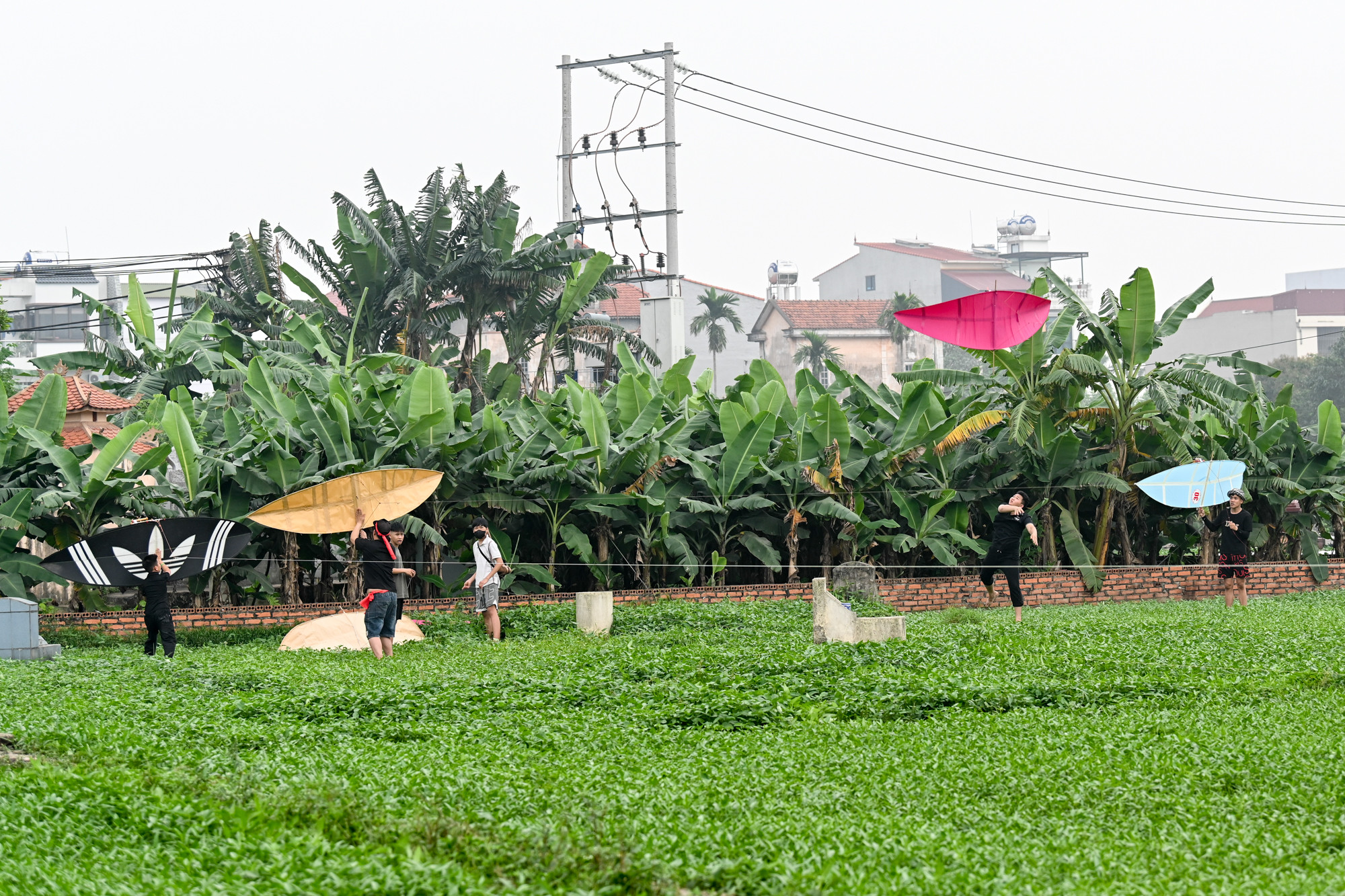 Năm nay, Hội diều làng Bá Dương Nội thu hút 72 con diều dự thi.