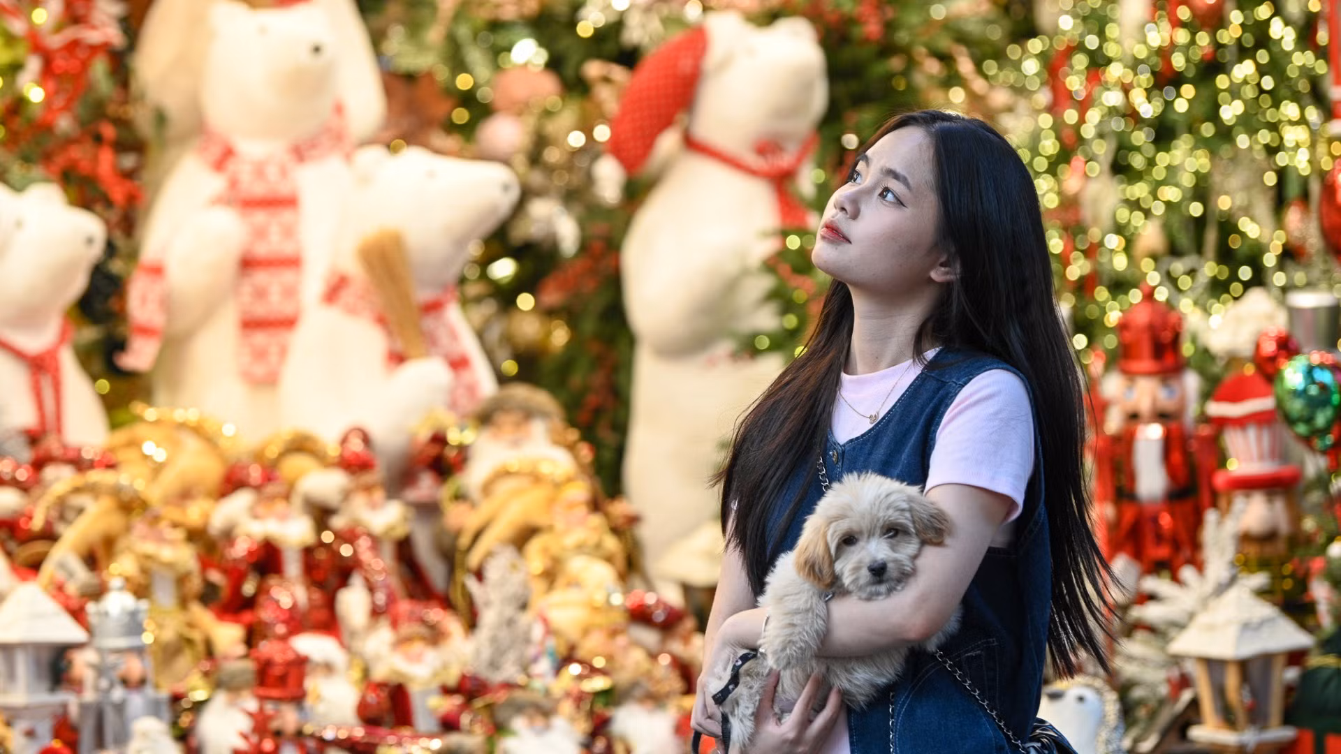 Một số bạn trẻ tranh thủ đến phố Hàng Mã sớm để check-in và mua sắm đồ trang trí cho dịp Giáng sinh.