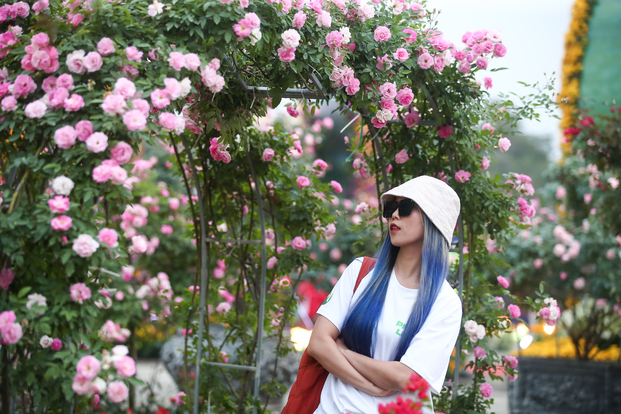 Festival hoa Mê Linh thu hút được rất đông các bạn trẻ và những người yêu hoa.