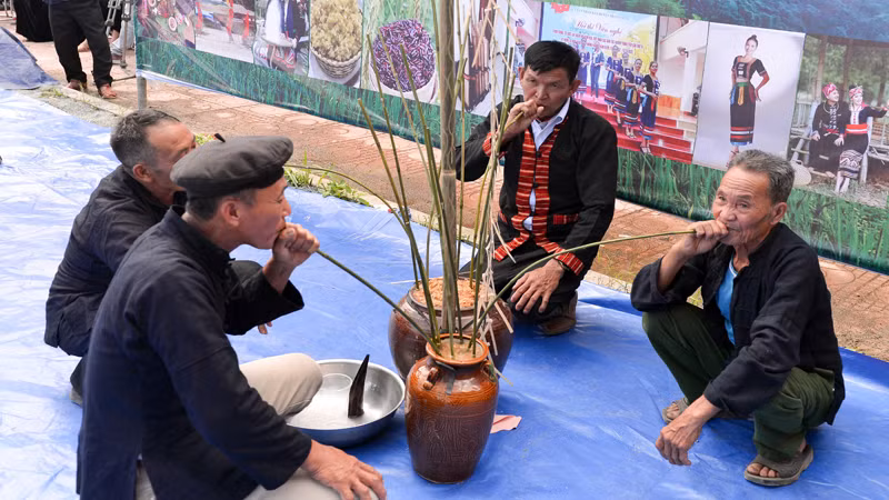 Cùng nhau uống rượu cần.