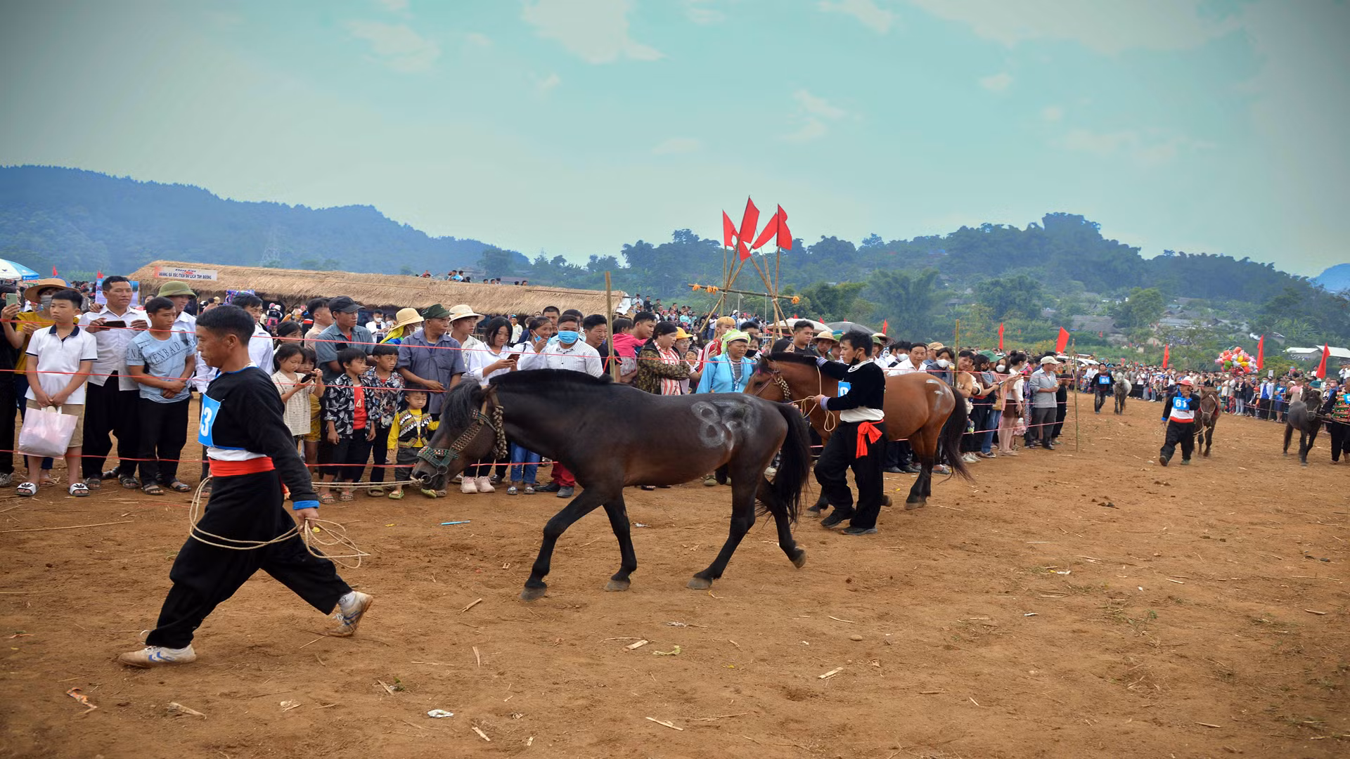Những chú ngựa thường ngày đi thồ hàng, nay được mang đi thi đấu như để thể hiện niềm kiêu hãnh của người con trai H'Mông bao đời nay. Những chú ngựa thường ngày đi thồ hàng, nay được mang đi thi đấu như để thể hiện niềm kiêu hãnh của người con trai H'Mông bao đời nay.