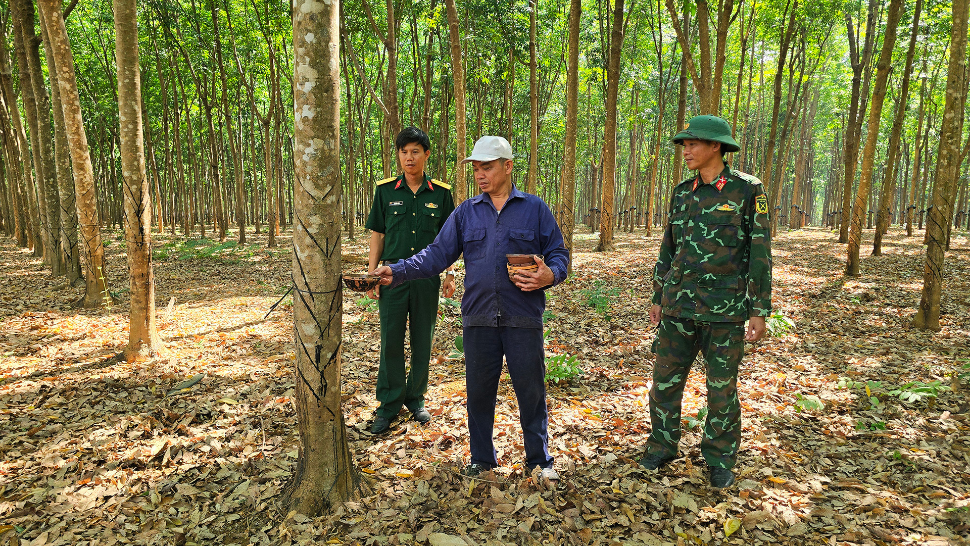 Ngoài đầu tư giáo dục, Chi nhánh 716, Binh đoàn 15 còn giúp đỡ người dân phát triển kinh tế. Ngoài đầu tư giáo dục, Chi nhánh 716, Binh đoàn 15 còn giúp đỡ người dân phát triển kinh tế.