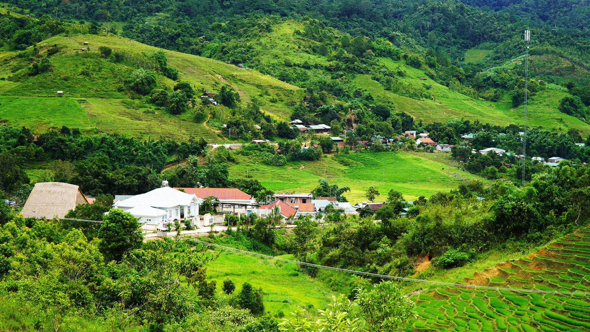 Một góc Làng Mới hôm nay.
