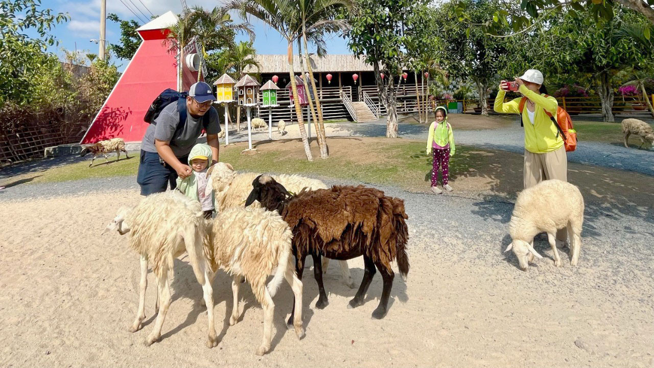 Các điểm vui chơi khác tại Thành phố Hồ Chí Minh như Đầm Sen, các công viên nước, bảo tàng cũng sẽ đông đúc, nhộn nhịp hơn trong ngày thứ ba của kỳ nghỉ lễ 30/4,1/5. Các điểm vui chơi khác tại Thành phố Hồ Chí Minh như Đầm Sen, các công viên nước, bảo tàng cũng sẽ đông đúc, nhộn nhịp hơn trong ngày thứ ba của kỳ nghỉ lễ 30/4,1/5.