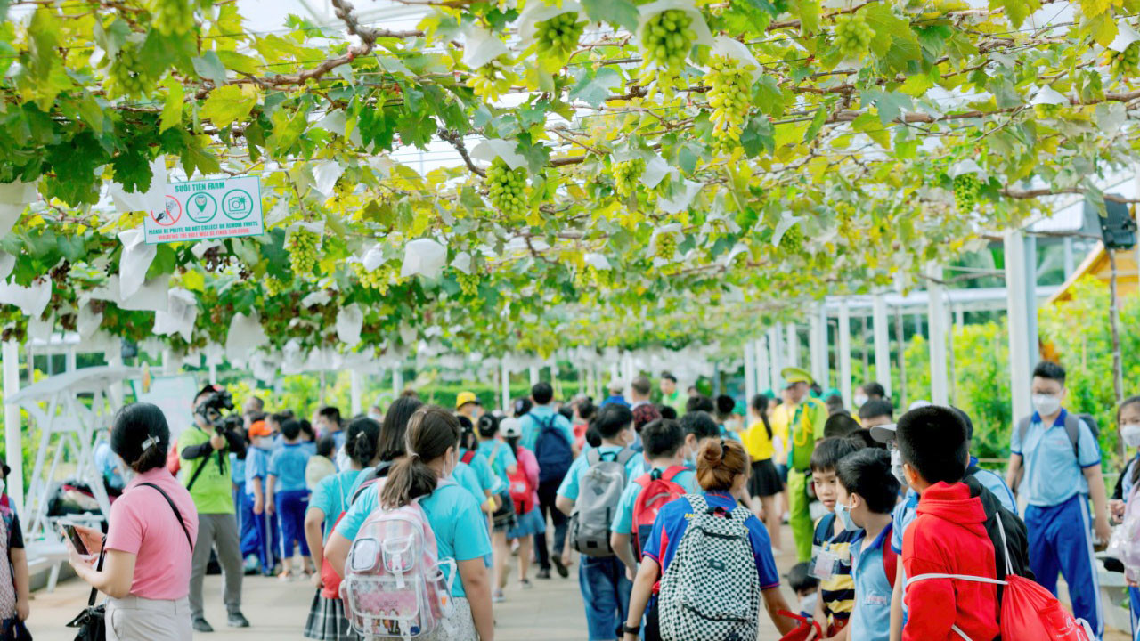 Khu du lịch Văn hóa Suối Tiên tại thành phố Thủ Đức Giá vé Suối Tiên lễ 30/4 là người lớn 150.000 đồng/người, trẻ em 80.000 đồng/người. Ngoài ra, công viên còn nhiều loại vé combo khác dành cho khách lựa chọn. Khu du lịch Văn hóa Suối Tiên tại thành phố Thủ Đức Giá vé Suối Tiên lễ 30/4 là người lớn 150.000 đồng/người, trẻ em 80.000 đồng/người. Ngoài ra, công viên còn nhiều loại vé combo khác dành cho khách lựa chọn.