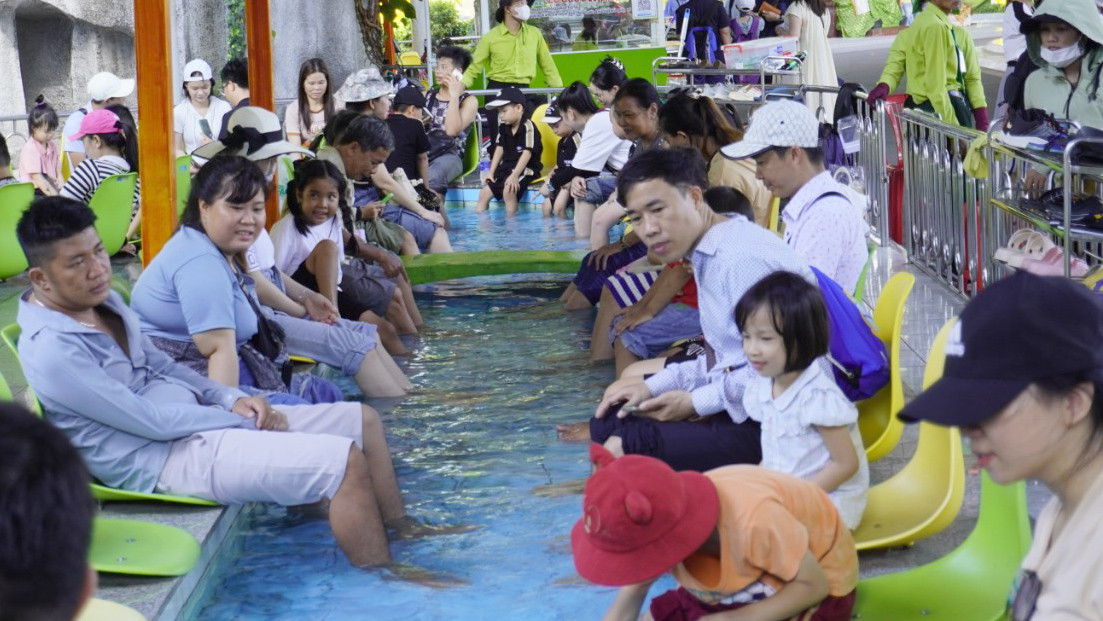 Sau khi vui chơi, du khách và các em nhỏ thích thú mát-xa cá, vừa được ngâm chân trong dòng nước mát vừa thích chơi đùa cùng cá. Sau khi vui chơi, du khách và các em nhỏ thích thú mát-xa cá, vừa được ngâm chân trong dòng nước mát vừa thích chơi đùa cùng cá.