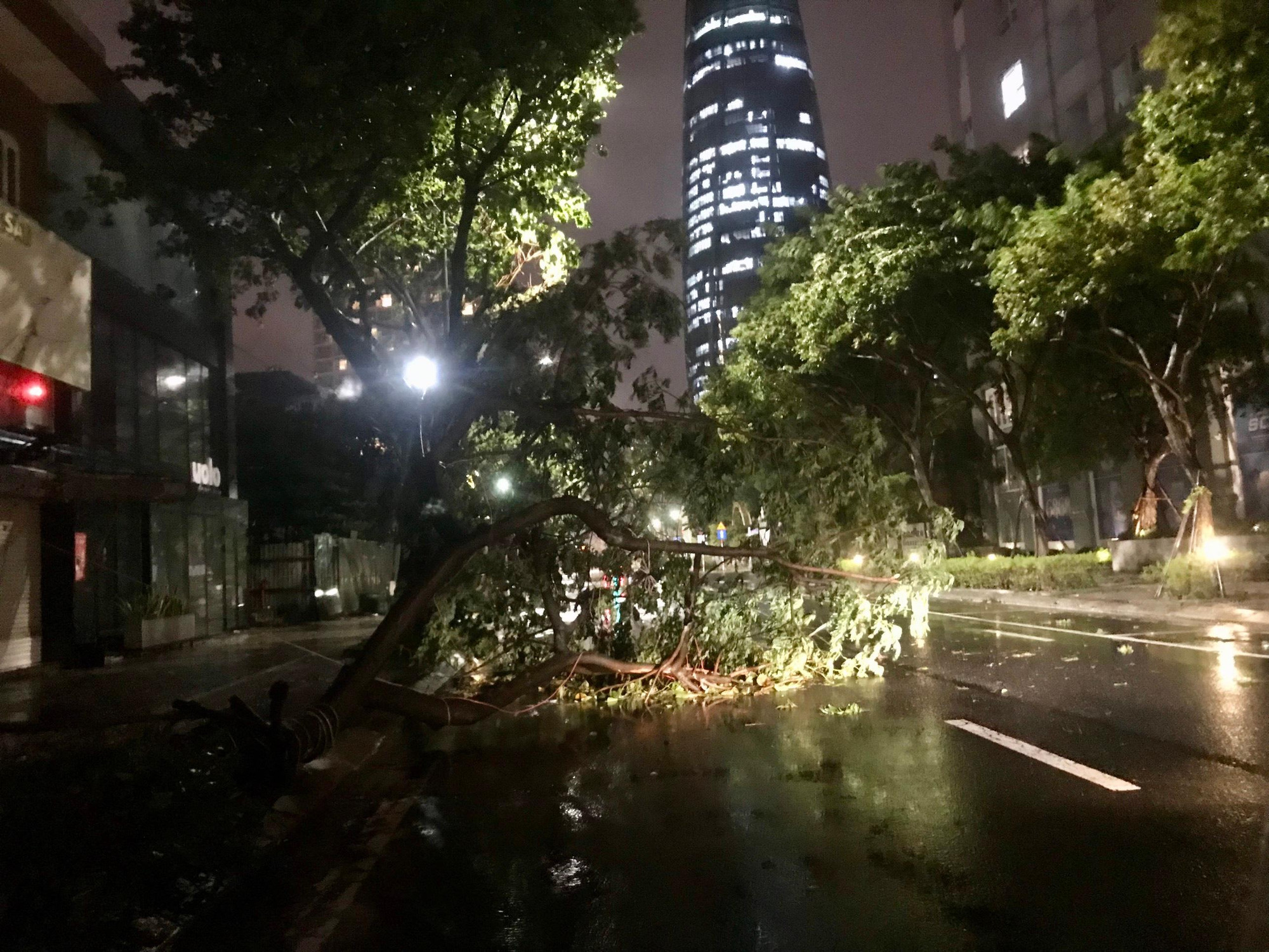 Cây đổ trên đường Trần Phú, Đà Nẵng. (Ảnh: ANH ĐÀO) Cây đổ trên đường Trần Phú, Đà Nẵng. (Ảnh: ANH ĐÀO)