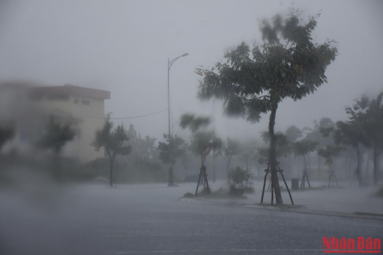 Đà Nẵng bắt đầu mưa lớn từ trưa nay, tuyến đường biển ghi nhận lúc 14 giờ 30. (ANH ĐÀO) Đà Nẵng bắt đầu mưa lớn từ trưa nay, tuyến đường biển ghi nhận lúc 14 giờ 30. (ANH ĐÀO)