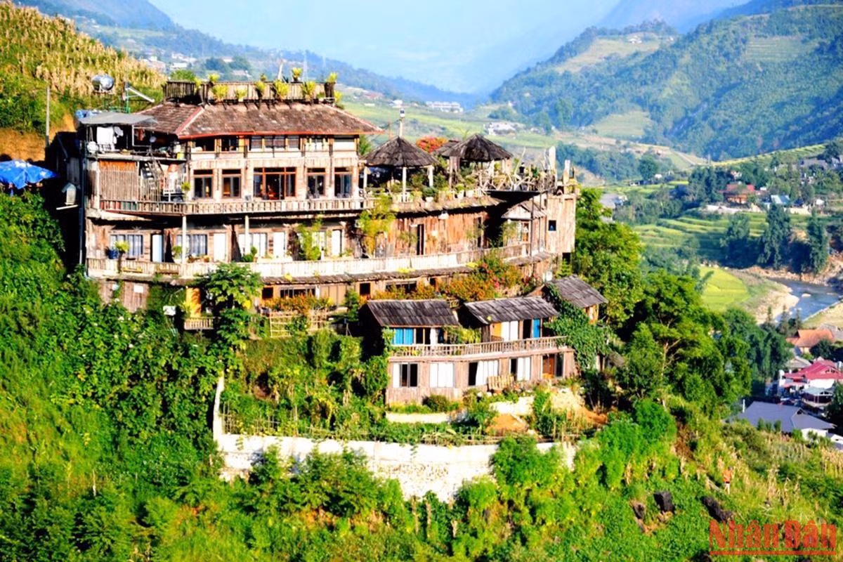 Một điểm chek-in mùa vàng Sa Pa được nhiều du khách tìm đến.