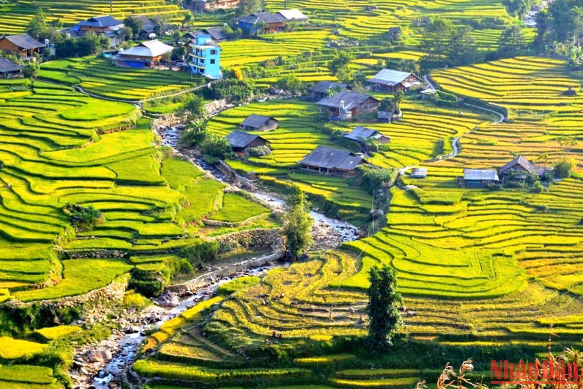 Làng bản thanh bình trong nắng thu.