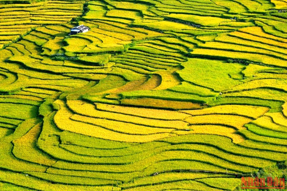 Đẹp như bức tranh phong cảnh nhiều màu sắc.