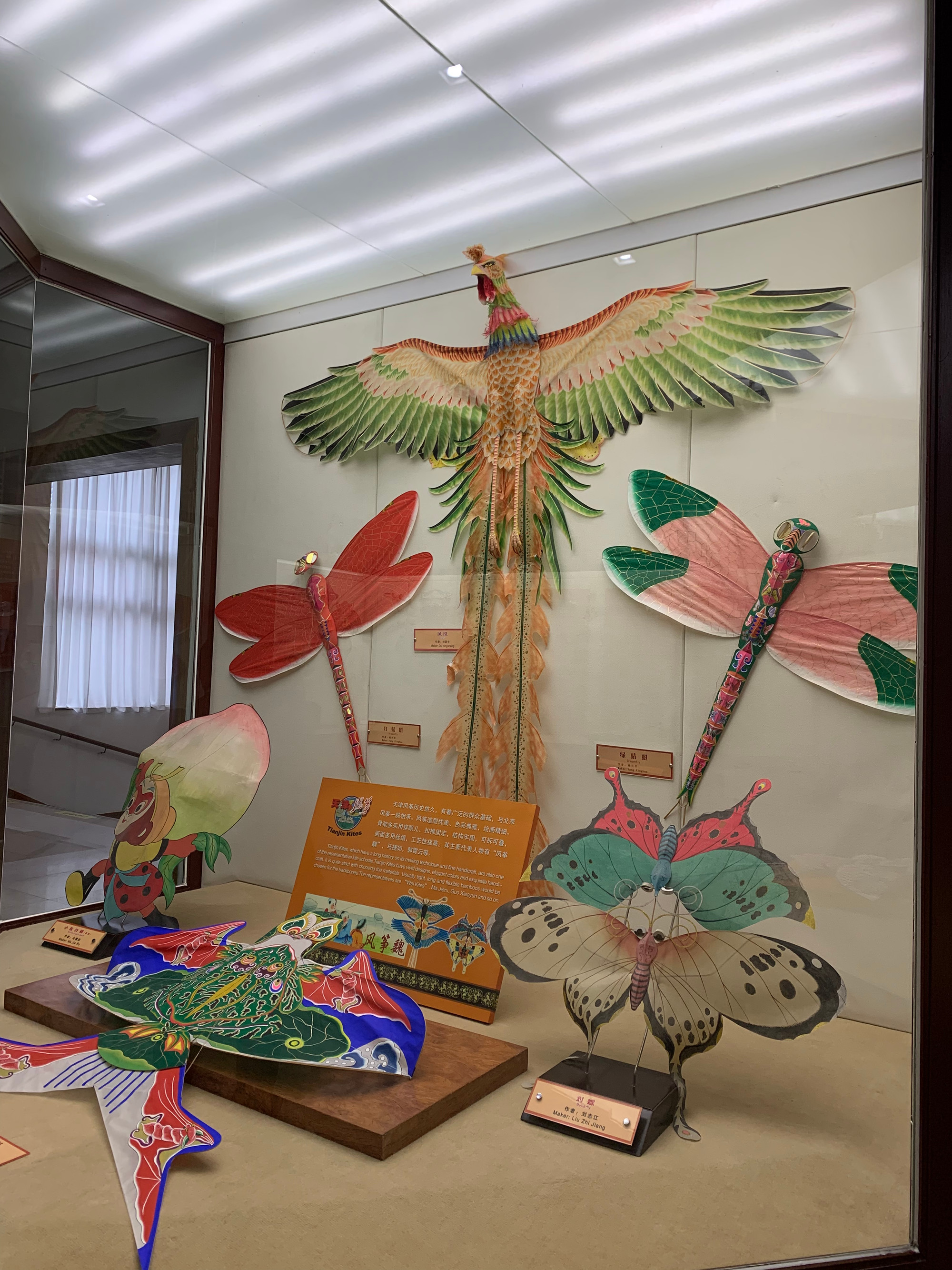 Những chiếc diều của Trung Quốc và quốc tế được trưng bày tại Bảo tàng Diều Duy Phường. (Ảnh: HỮU HƯNG)