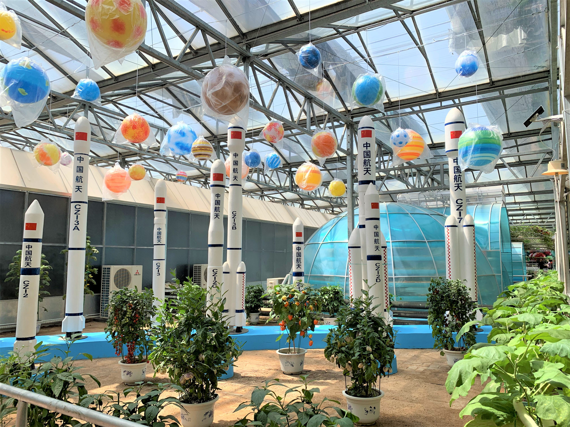 Mô hình trồng rau mô phỏng điều kiện cho phi hành gia trên trạm vũ trụ. (Ảnh: HỮU HƯNG)