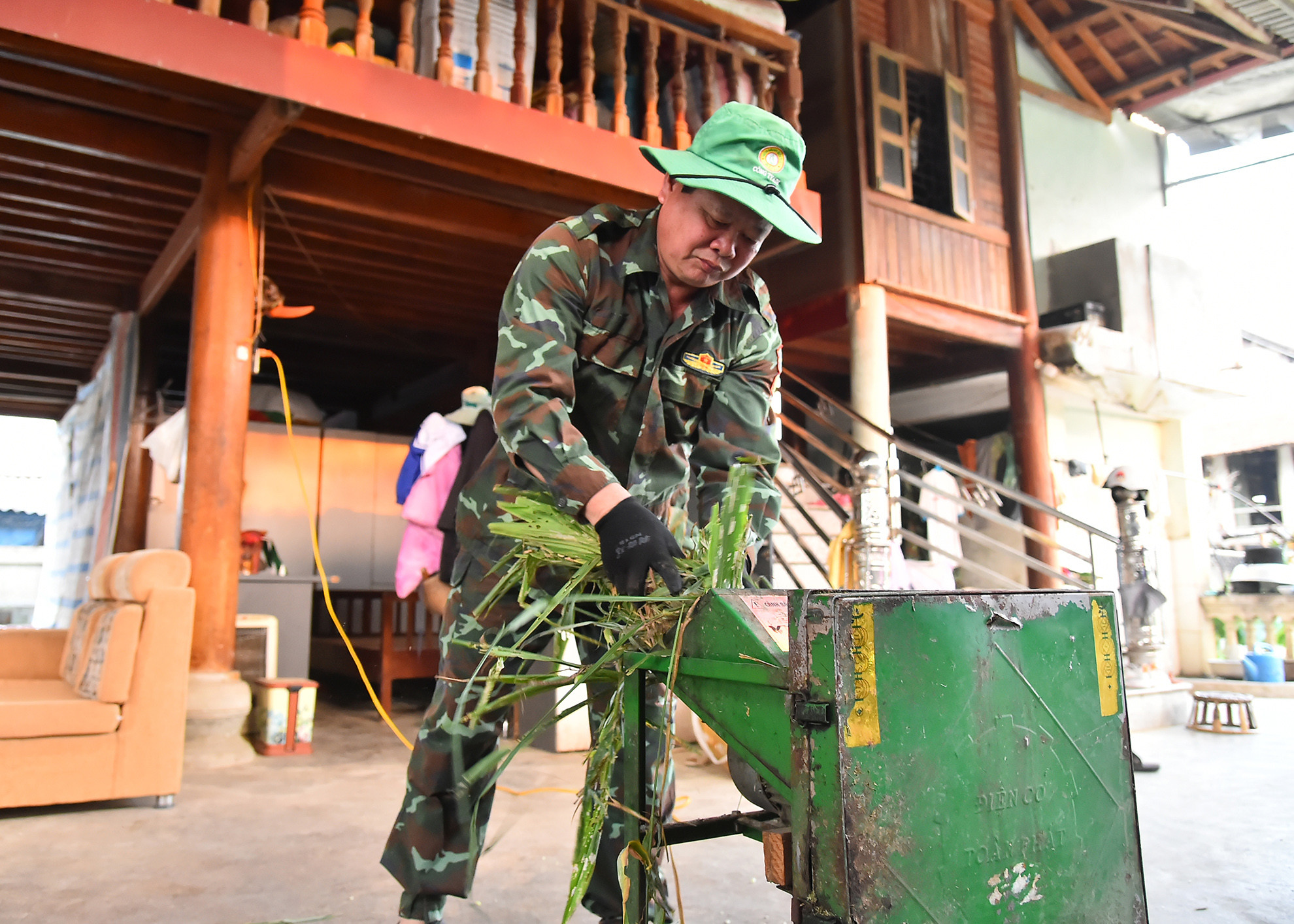 Theo ông Lò Văn Bun, nuôi dê Boer sinh sản này khá vất vả, tháng đầu gặp nhiều khó khăn vì khi đưa về đây dê cần làm quen môi trường, thời tiết và thức ăn nên cả tháng đầu sụt cân và ốm. Trung bình 1 ngày 20kg cám ngô, 20 kg bã đậu phụ, cỏ tươi và cỏ ủ mỗi ngày 3-4kg/con, Chi phí 1 con ăn tương đương 120 nghìn đồng/con/tháng thức ăn tinh.