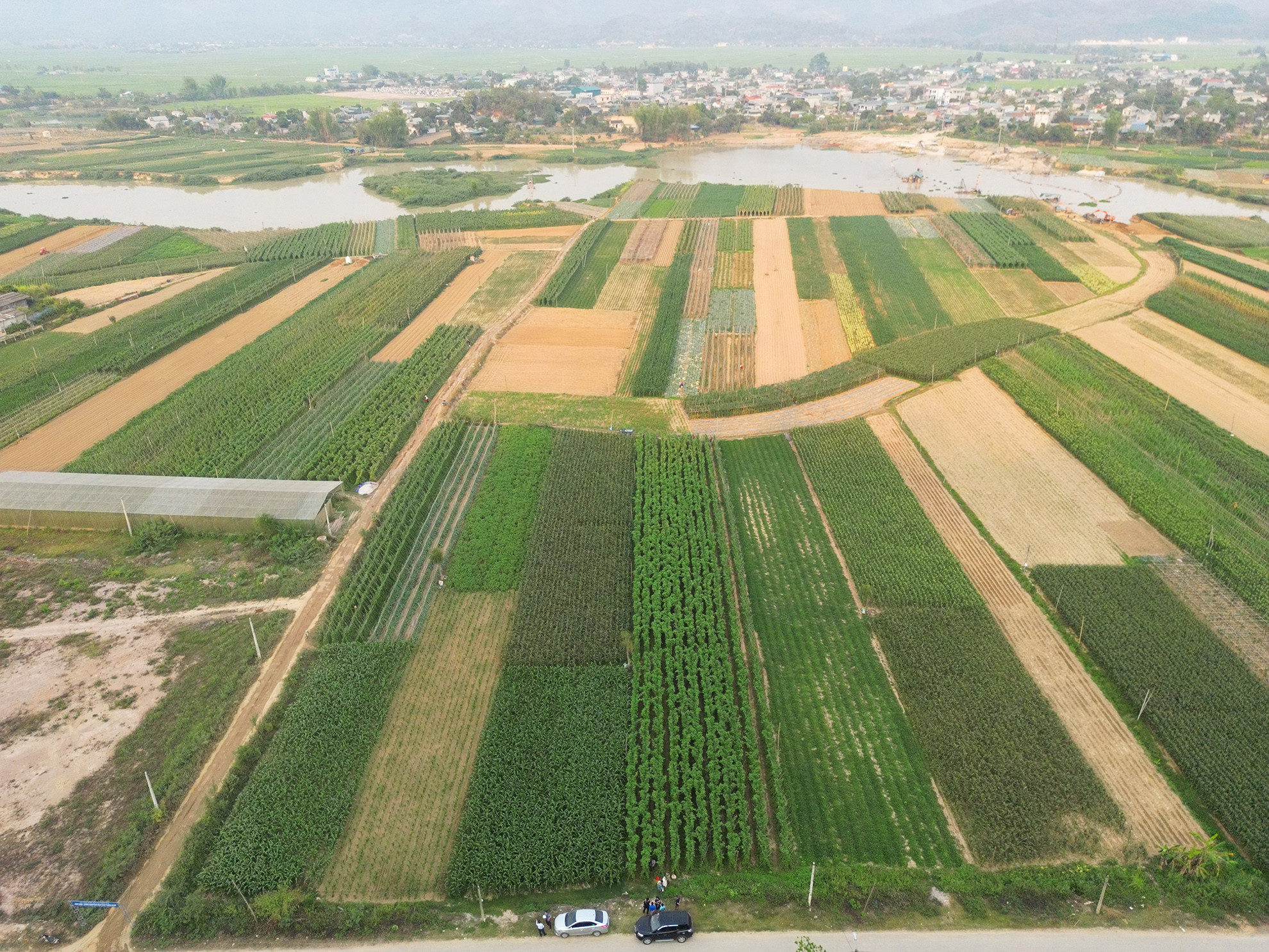 Anh Nguyễn Văn Huy, Giám đốc Hợp tác xã nông nghiệp tổng hợp Noong Luống, xã Noong Luống cho hay: "Là người trẻ sinh ra và lớn lên ở mảnh đất anh hùng, chúng tôi muốn đóng góp một chút công sức nhỏ bé của mình giúp địa phương hôm nay ngày càng phát triển và giàu đẹp".