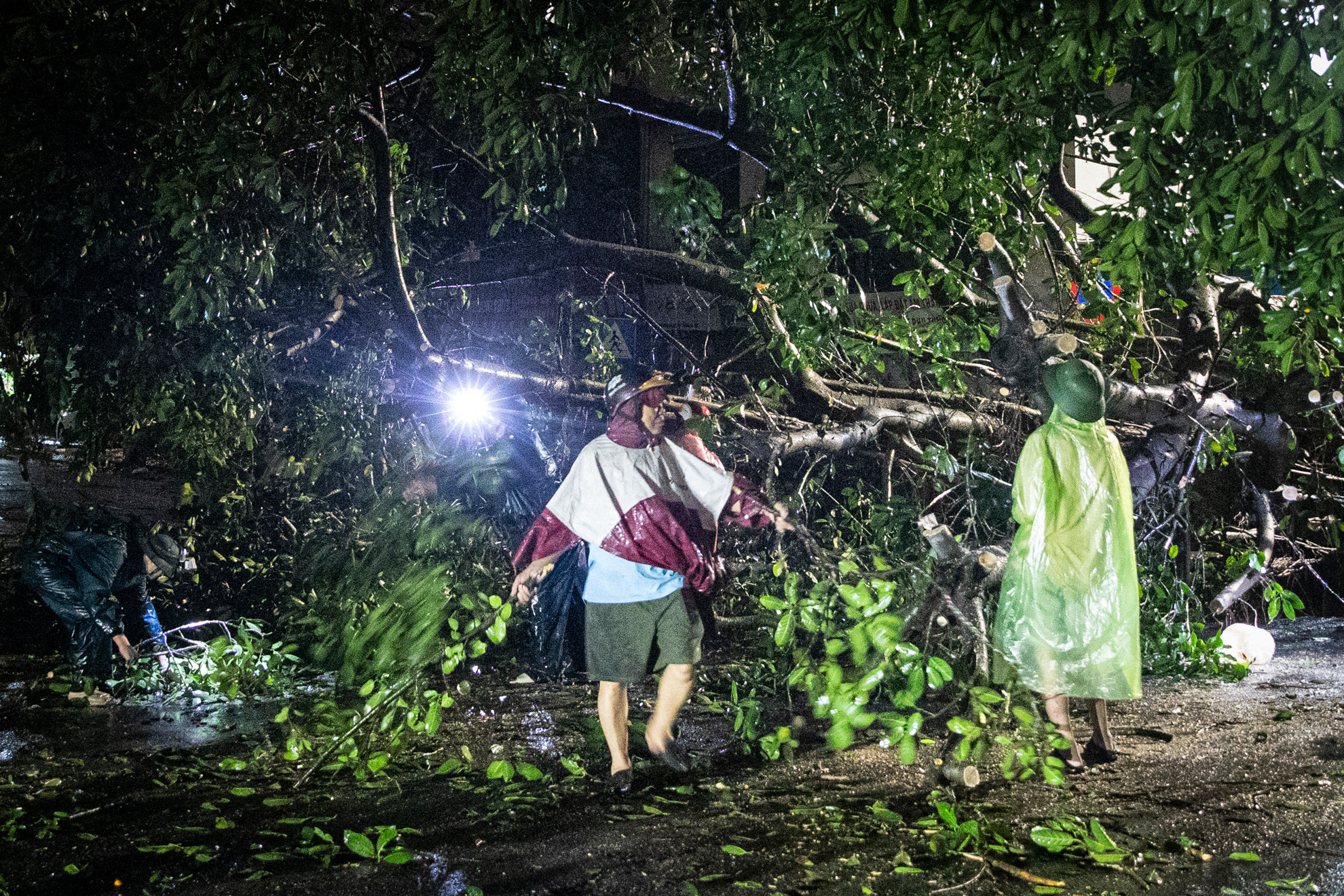 Lực lượng chức năng đang nhanh chóng cắt tỉa, xử lý cây xanh bị bão quật đổ.