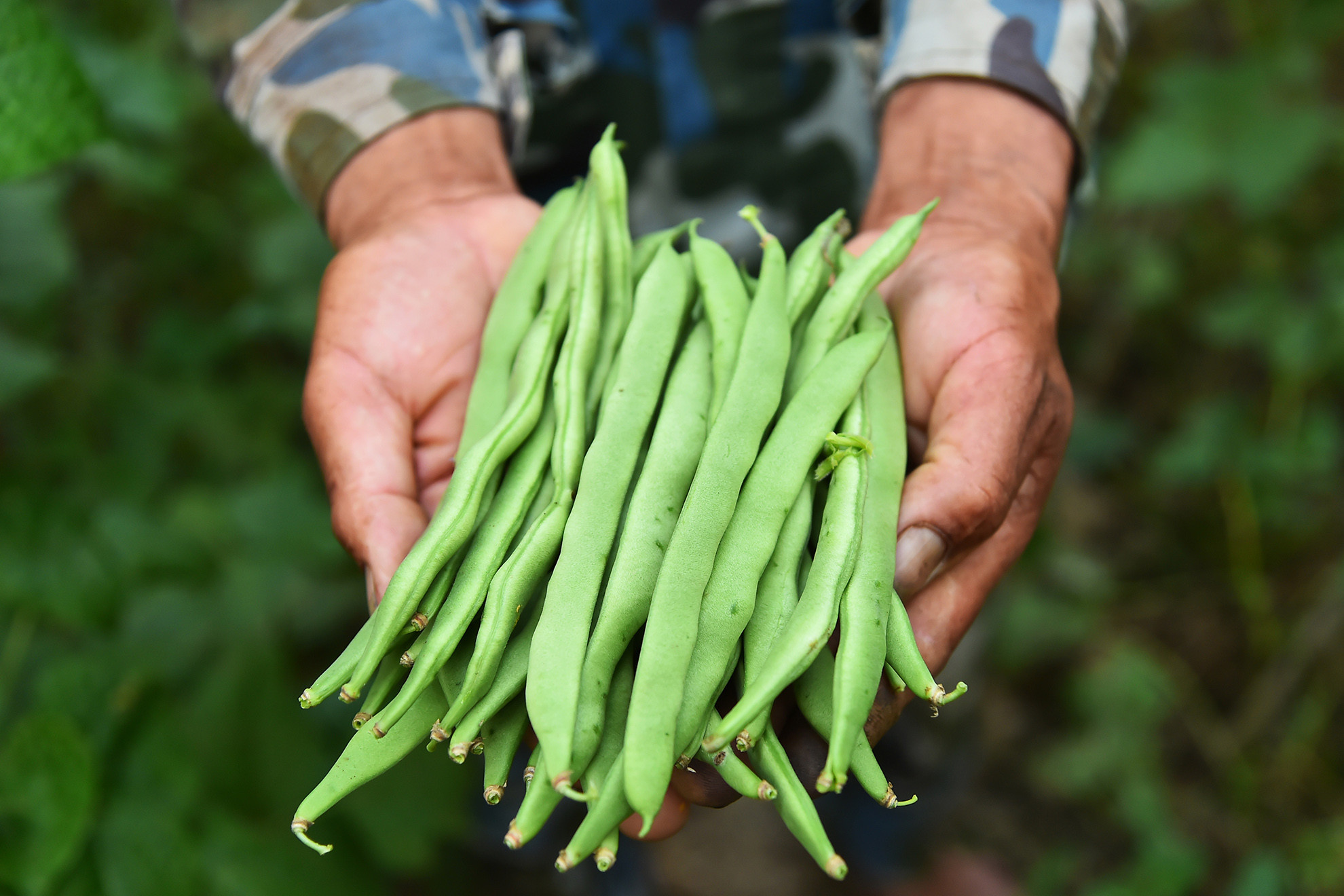 Thời gian qua, phong trào nông dân thi đua sản xuất kinh doanh giỏi ở huyện Điện Biên có nhiều bước phát triển, tác động tích cực đến đời sống của cán bộ, hội viên, nông dân, góp phần nâng cao đời sống, vươn lên làm giàu qua việc xây dựng được nhiều mô hình kinh tế hiệu quả. Cũng từ phong trào này, đã xuất hiện nhiều tấm gương điển hình nông dân sản xuất kinh doanh giỏi, tiêu biểu có mức thu nhập hàng trăm triệu đồng/năm.