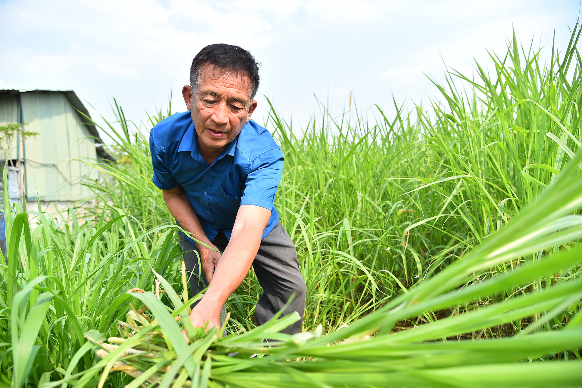 Gia đình ông Nguyễn Đình Kiên, Thôn 5, xã Pom Lót, một cán bộ đã về hưu, Bí thư chi bộ bản Na Hai, là một tấm gương tiêu biểu trong phong trào thi đua sản xuất kinh doanh giỏi, một hội viên nông dân cần cù, chịu khó, nhiệt huyết, dám nghĩ, dám làm.