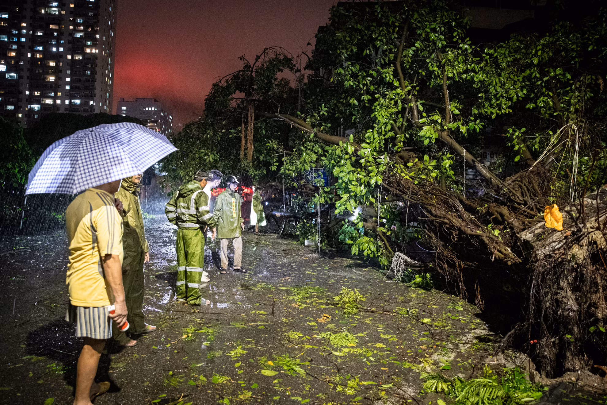 Theo ghi nhận vào lúc khoảng 21 giờ 40 phút cây lớn đổ tại nút giao Nguyễn Công Trứ-Đỗ Ngọc Du (quận Hai Bà Trưng) cản trở việc lưu thông. Theo ghi nhận vào lúc khoảng 21 giờ 40 phút cây lớn đổ tại nút giao Nguyễn Công Trứ-Đỗ Ngọc Du (quận Hai Bà Trưng) cản trở việc lưu thông.