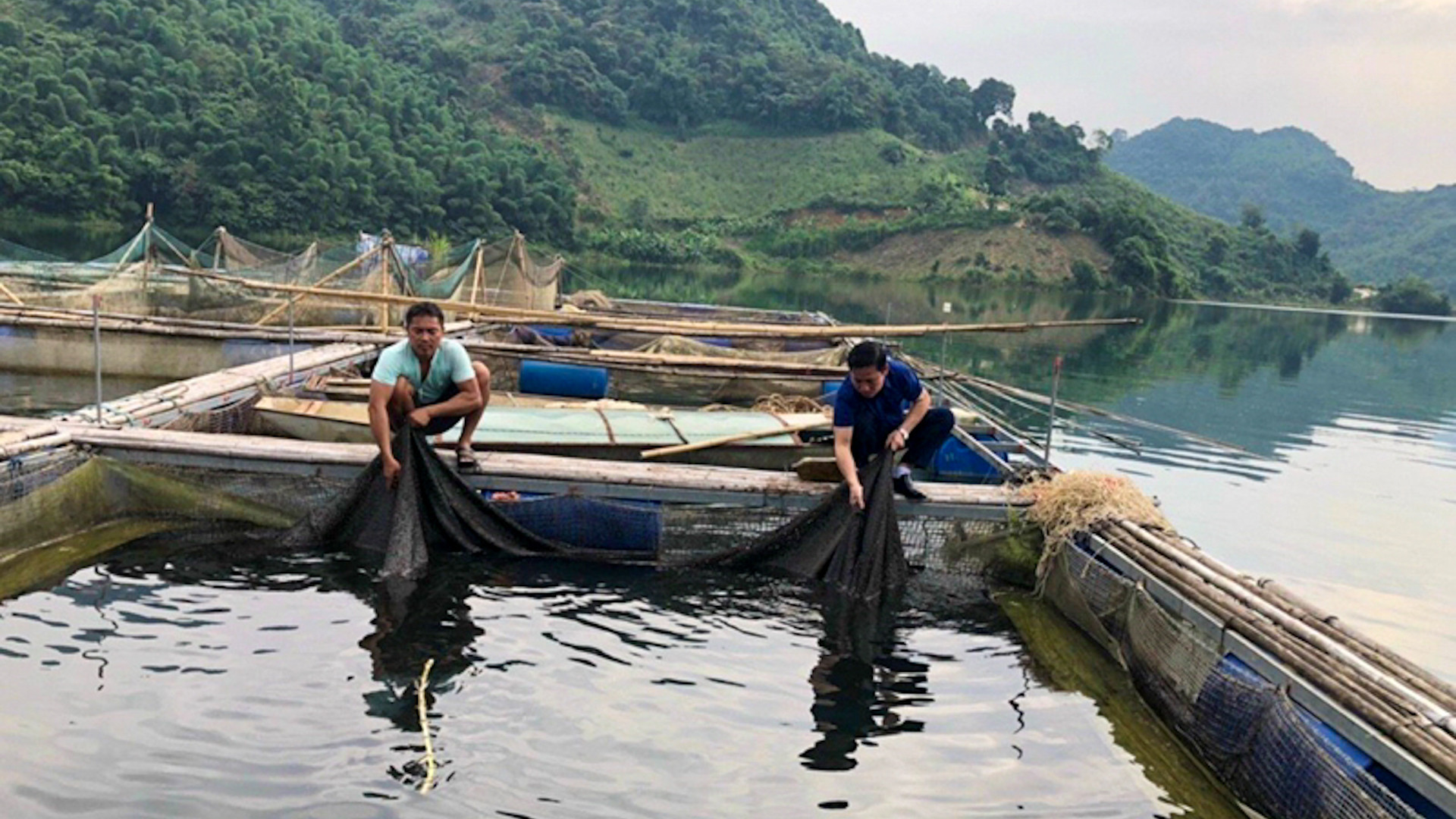 Nhiều hộ dân ở xã Hiền Lương, huyện Đà Bắc (Hòa Bình) phát triển nghề nuôi cá lồng đem lại thu nhập khá. (Ảnh: VIỆT HOA)