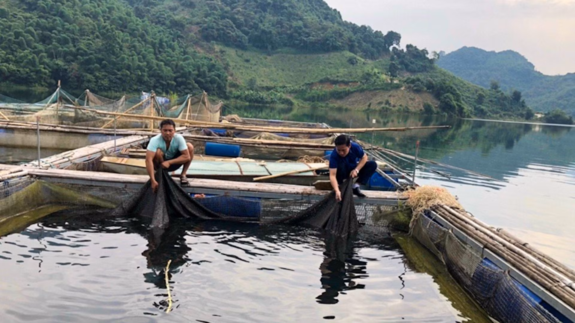 Nhiều hộ dân ở xã Hiền Lương, huyện Đà Bắc (Hòa Bình) phát triển nghề nuôi cá lồng đem lại thu nhập khá. (Ảnh: VIỆT HOA)