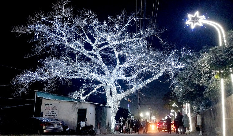Con đường tới nhà thờ và cây đa bên đường cũng được trang hoàng bởi hàng triệu bóng đèn nháy, tạo nên cảnh sắc huyền ảo trong đêm.