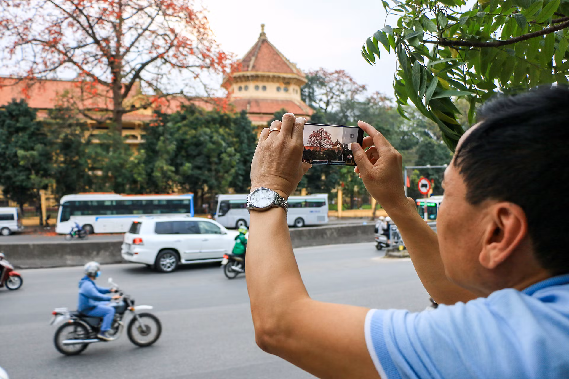 [Ảnh] Rực rỡ hoa gạo tháng 3 ảnh 7