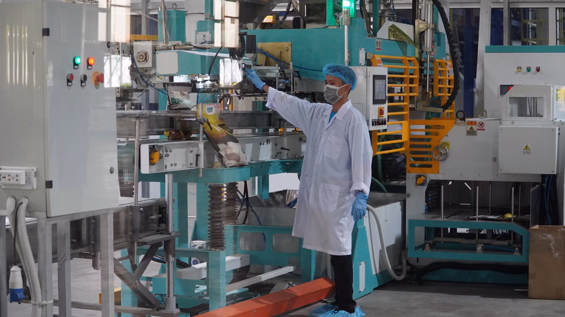 Gạo Việt Nam đang được xuất khẩu nhiều sang các nước châu Phi.